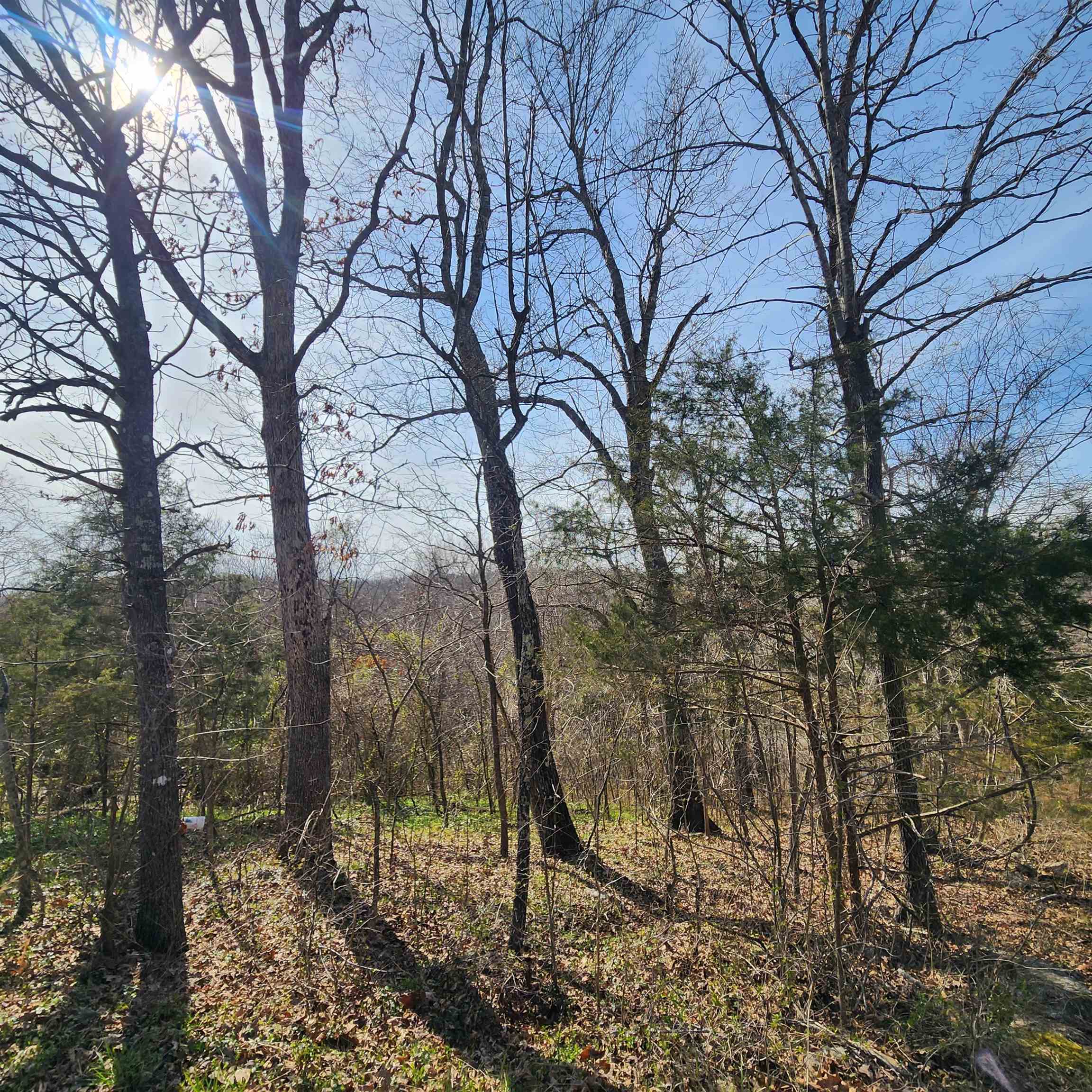 Chickasaw Fourth - Land