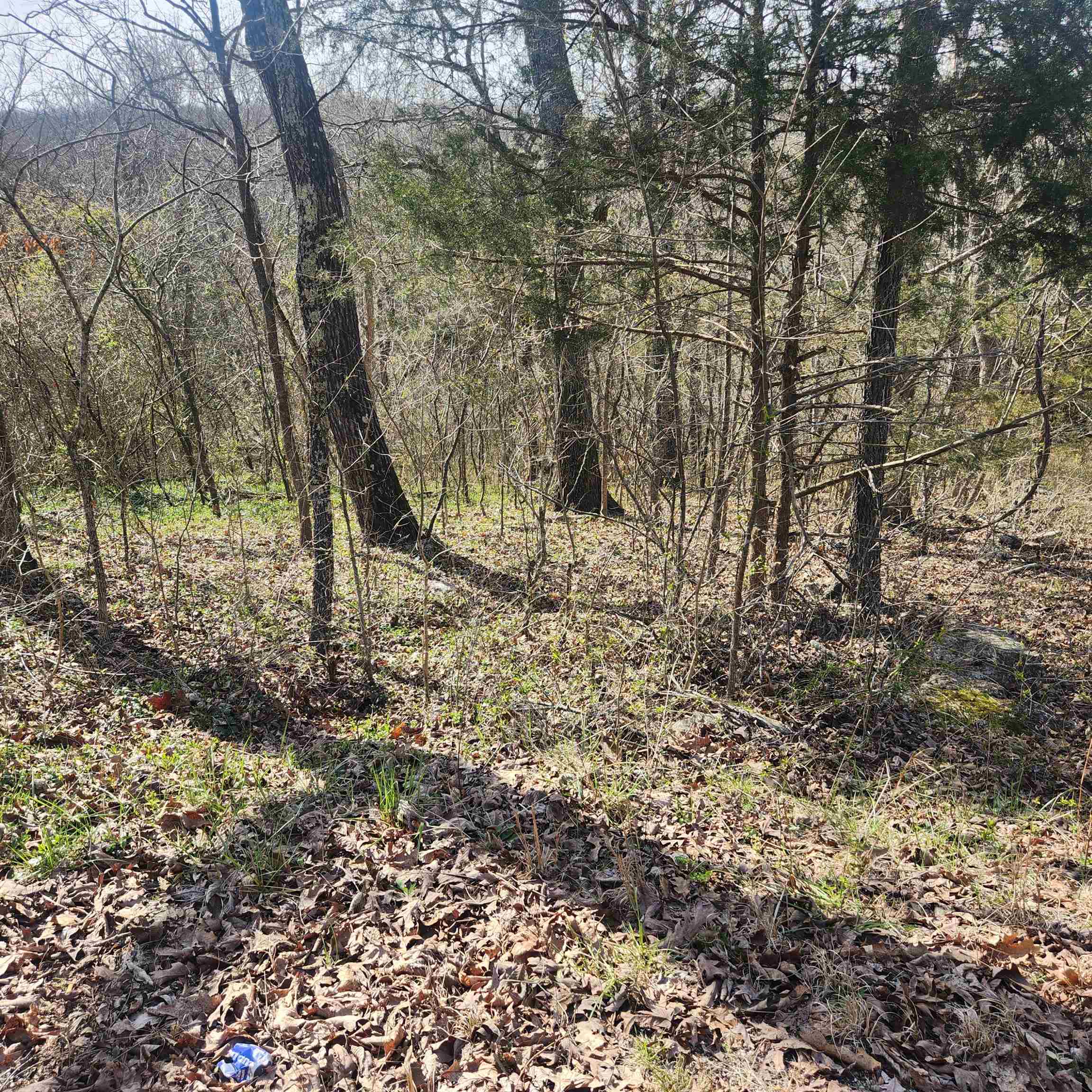 Chickasaw Fourth - Land