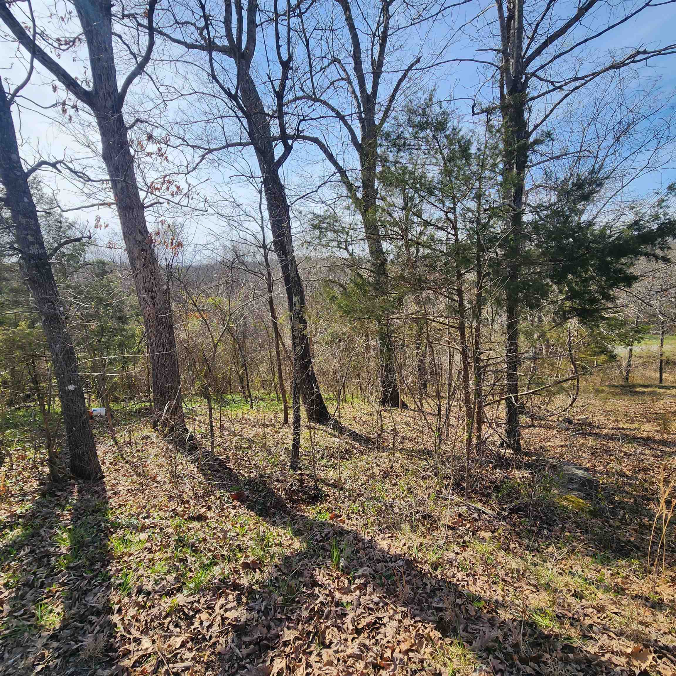 Chickasaw Fourth - Land