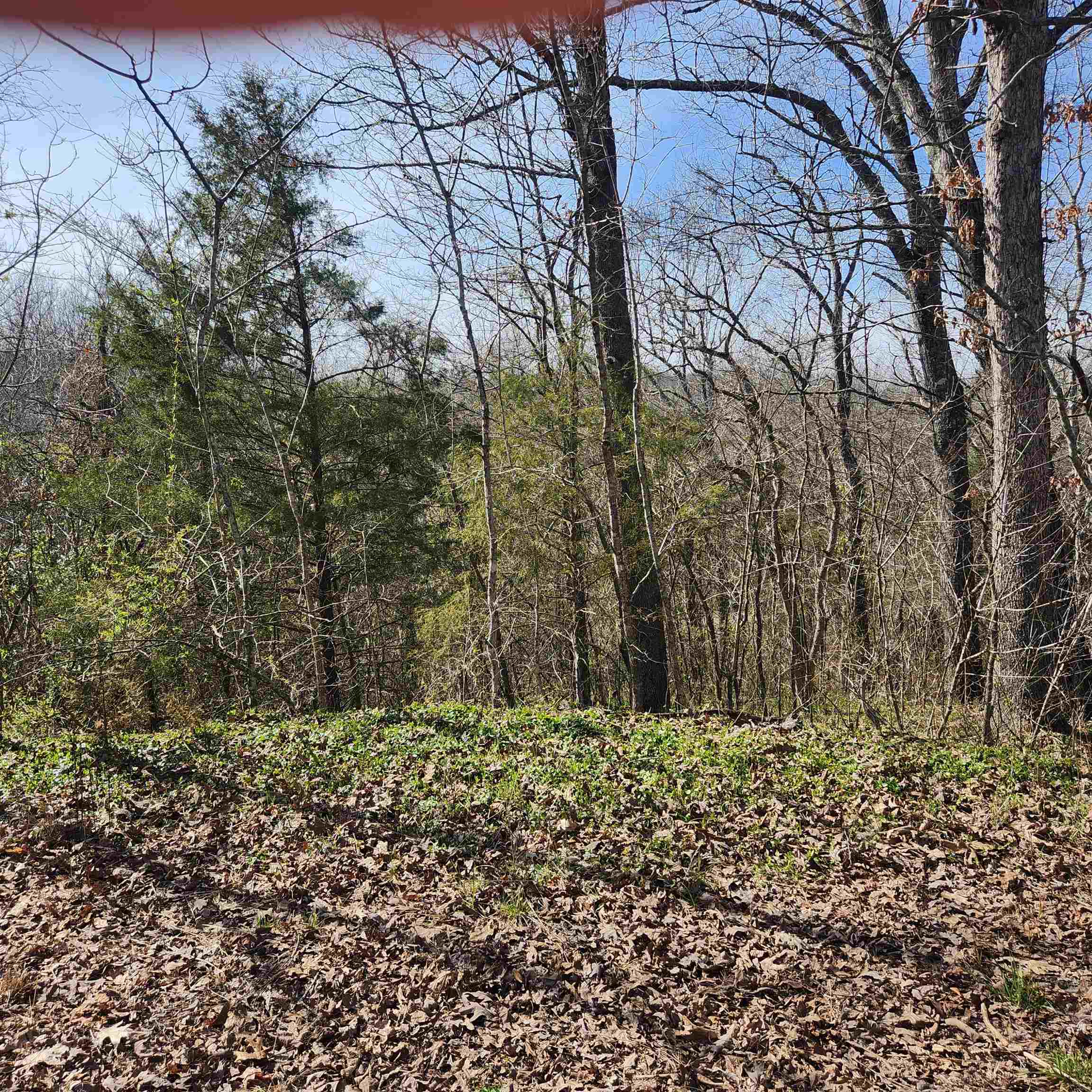 Chickasaw Fourth - Land