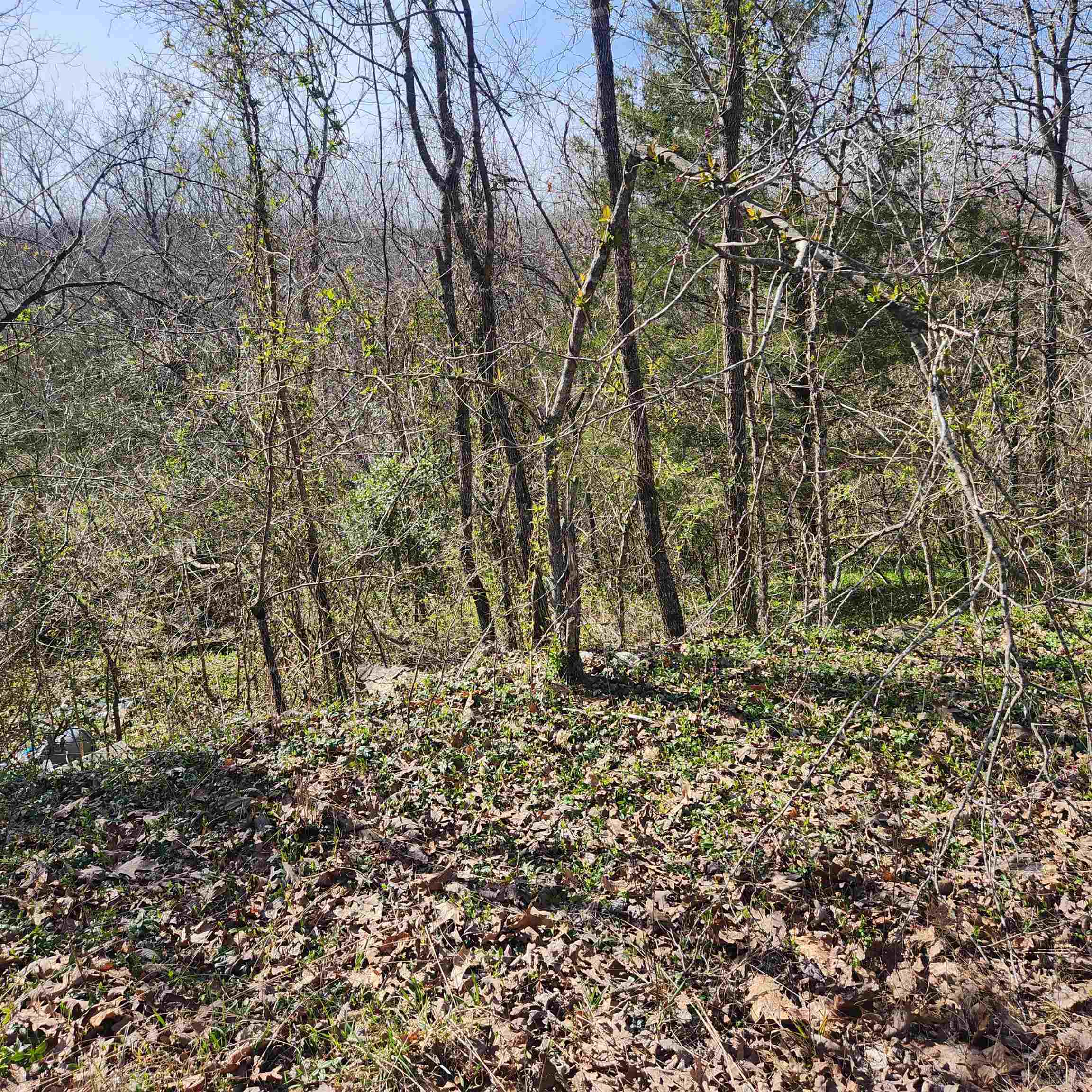 Chickasaw Fourth - Land