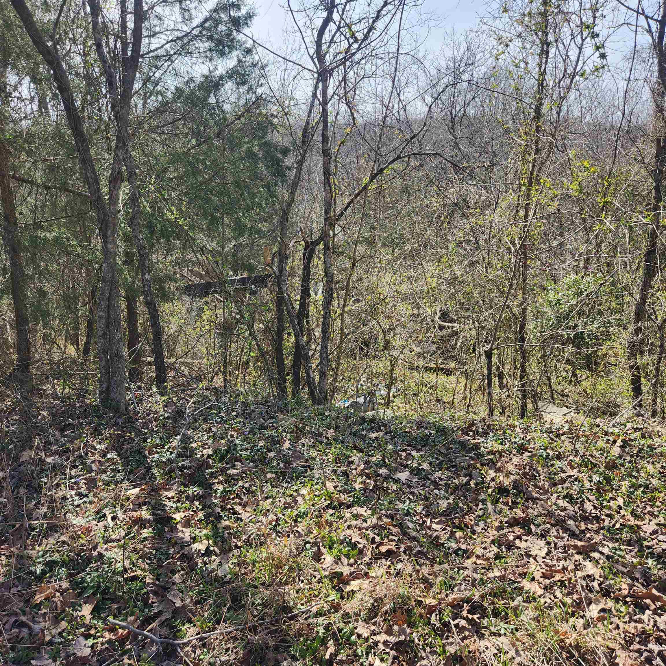 Chickasaw Fourth - Land