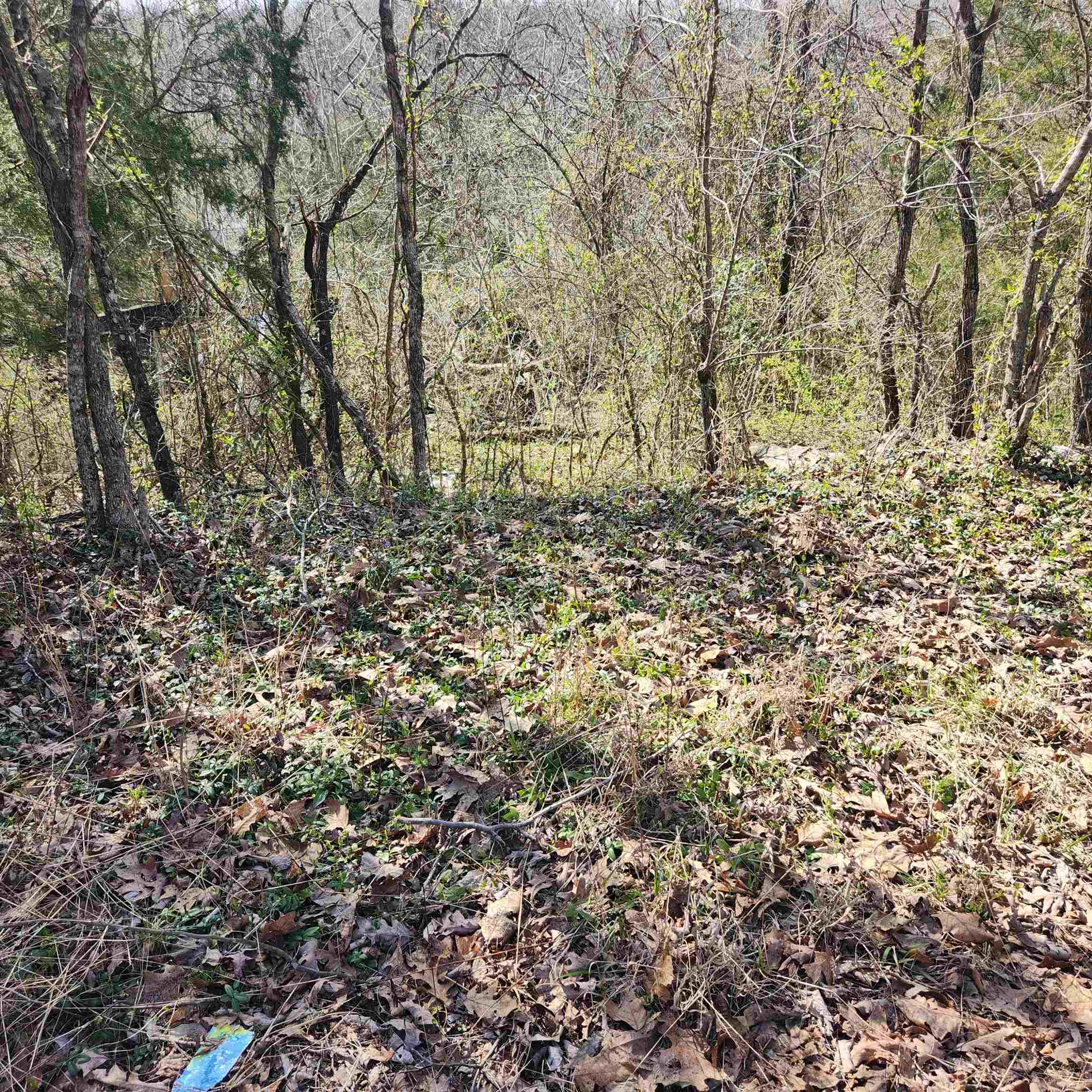 Chickasaw Fourth - Land