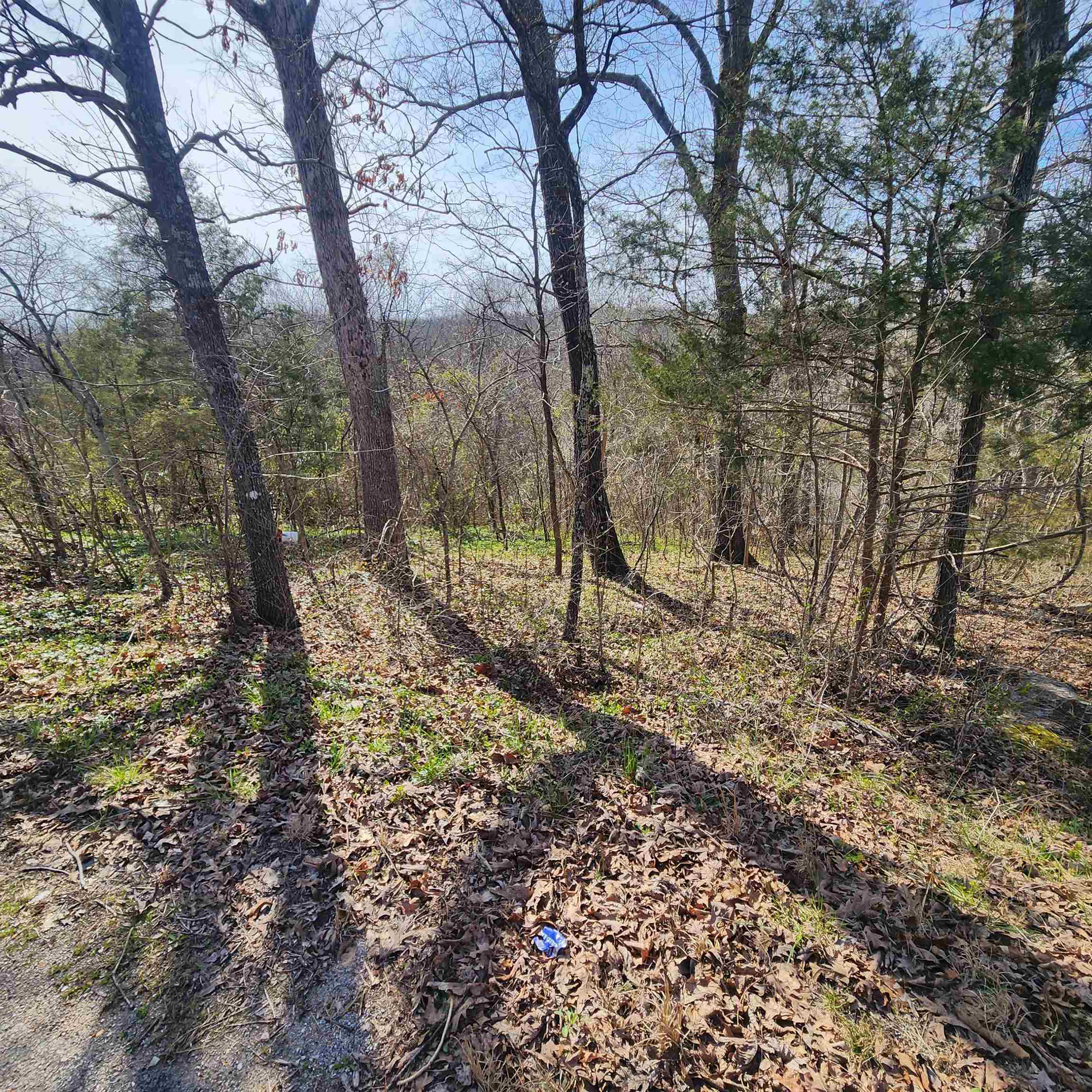 Chickasaw Fourth - Land