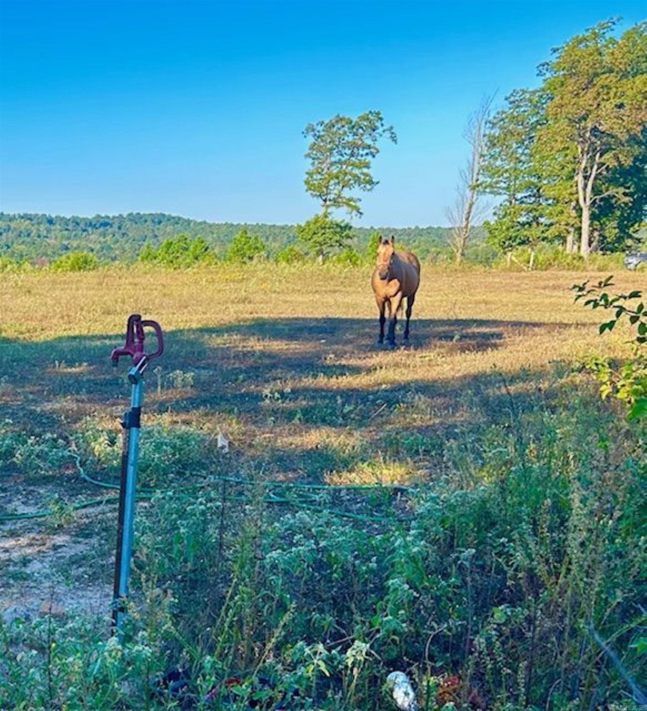 Metes & Bounds - Land