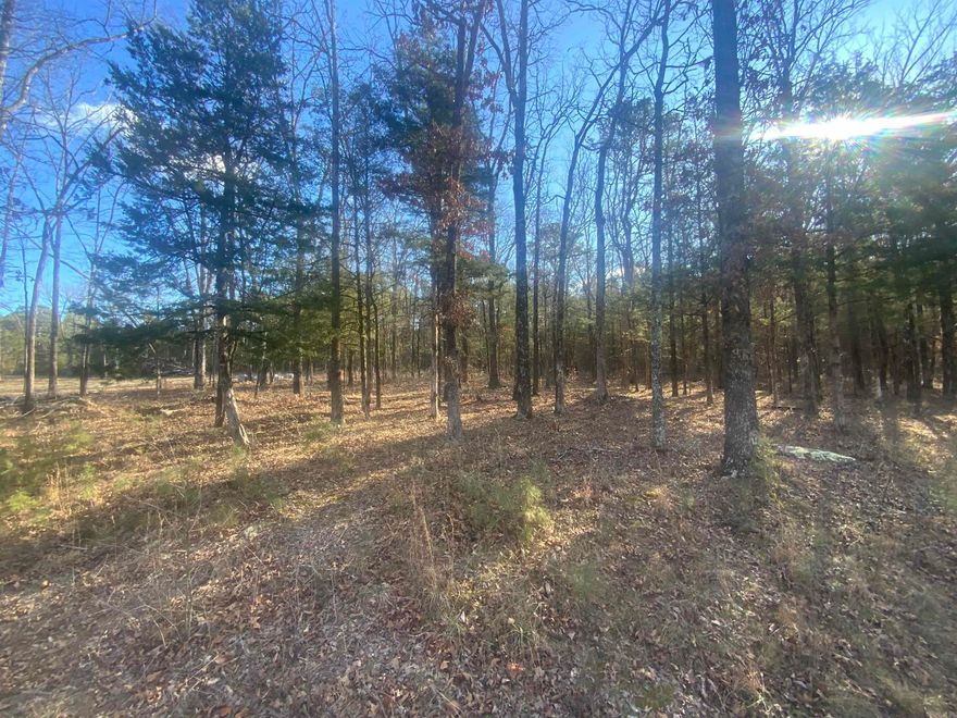This property is within walking distance to Devils Fork Park. Great Subdivision with multiple new homes locationed in the heart of Greers Ferry