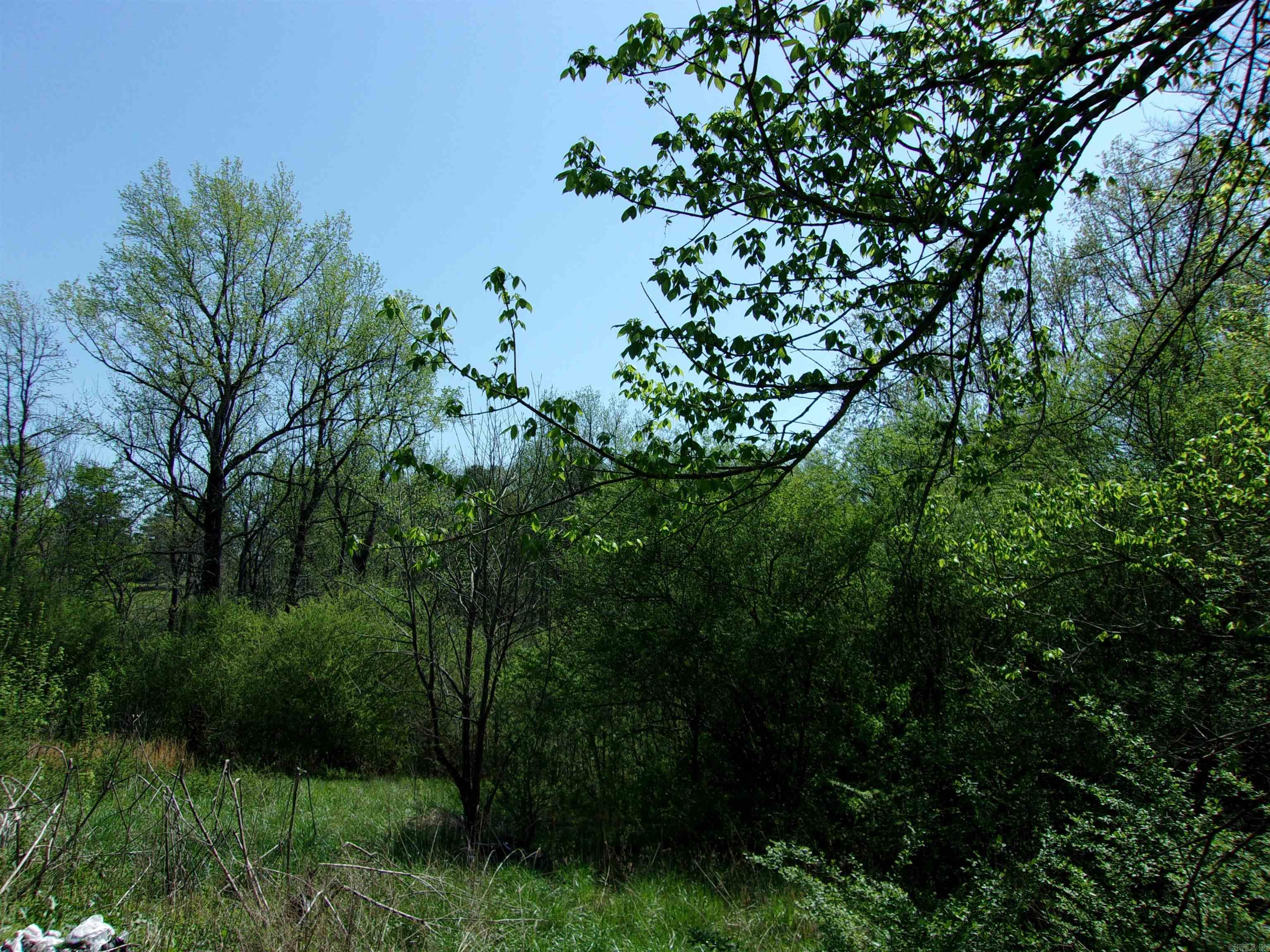 Shirley Original - Residential