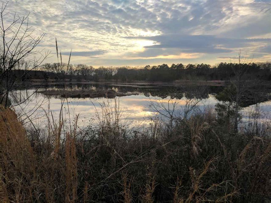 Beautiful Level Land on Hwy 300 Approximately 9 miles from Hwy 10 and Chenal Parkway.  This Property has Both Cleared and Wooded Areas and Includes 2 Ponds and a Morgan Barn.  This Land is Ideal for Your Own Private Estate or Residential Development.  Wildlife and Peace and Quite are Abundant.
