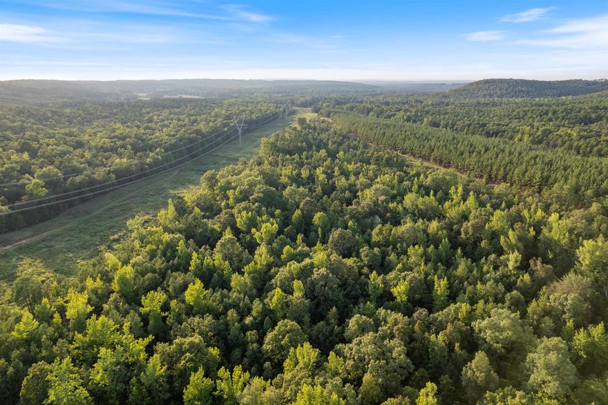 ±70 acres off Round Mountain Rd, ideal for hunting or building your dream home. This mostly wooded property offers privacy and natural beauty with no restrictions. Just 17 minutes to downtown Conway and 30 minutes to Little Rock, providing a perfect balance of seclusion and convenience.