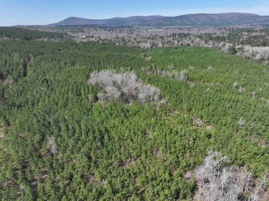 Great Views of Rich Mountain and the surrounding area.  Nice thick growth of planted Pine Plantation with a drivable road through the property.  Lots of Road frontage along Polk road 40.  Wildlife is very abundant on this property!  Privacy! Views! Road Frontage! Income potential with the Pine Trees!  This property is located just north of the Alder Springs community and is close to the Mountain Fork River!