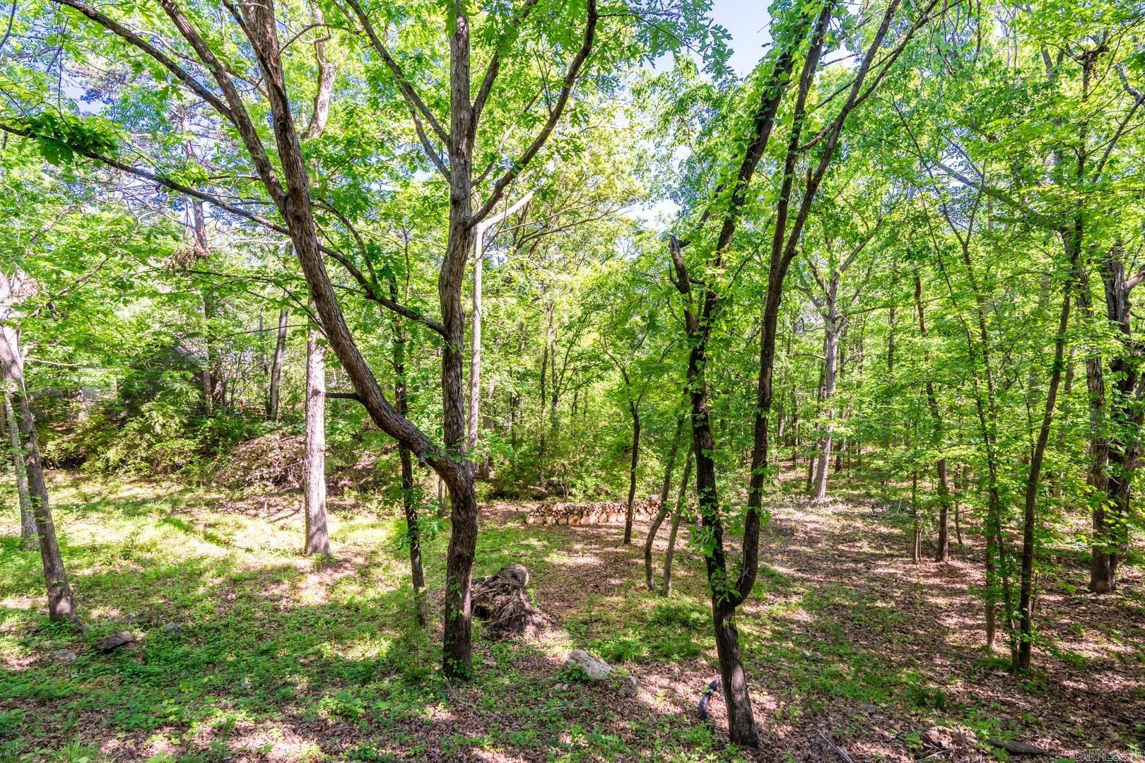 Burnt Tree - Residential