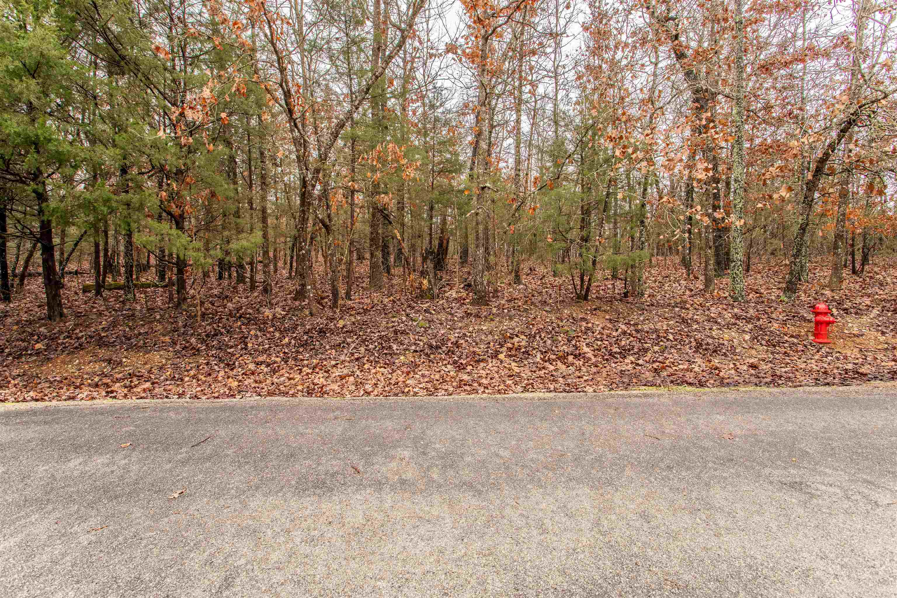 Wooded lot with some lake views of Lake Omaha. Great lot ready for a new home construction. Water and power available.