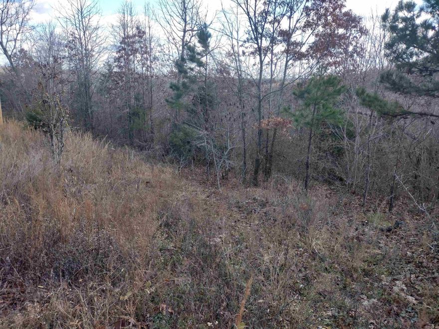 Great View Lot it the country