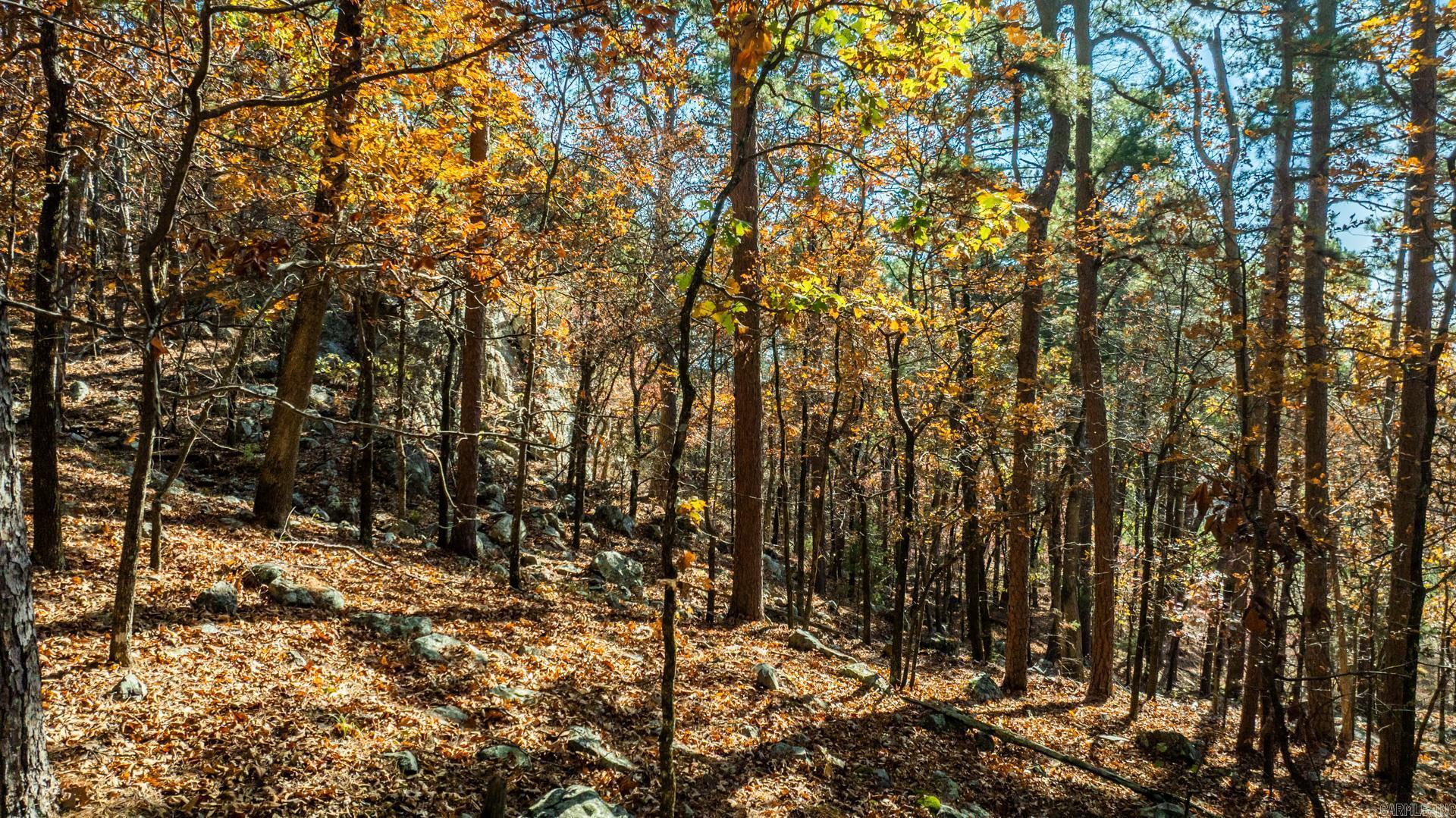 Pinnacle Ridge - Land