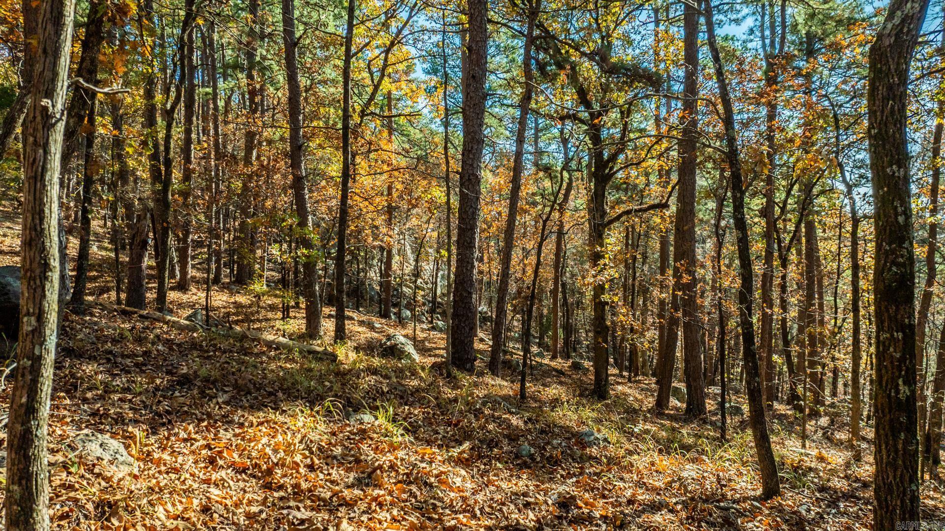 Pinnacle Ridge - Land