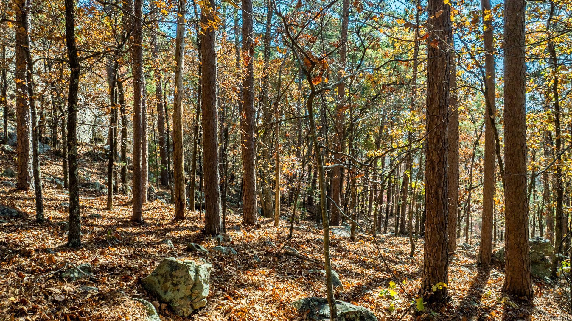 Pinnacle Ridge - Land