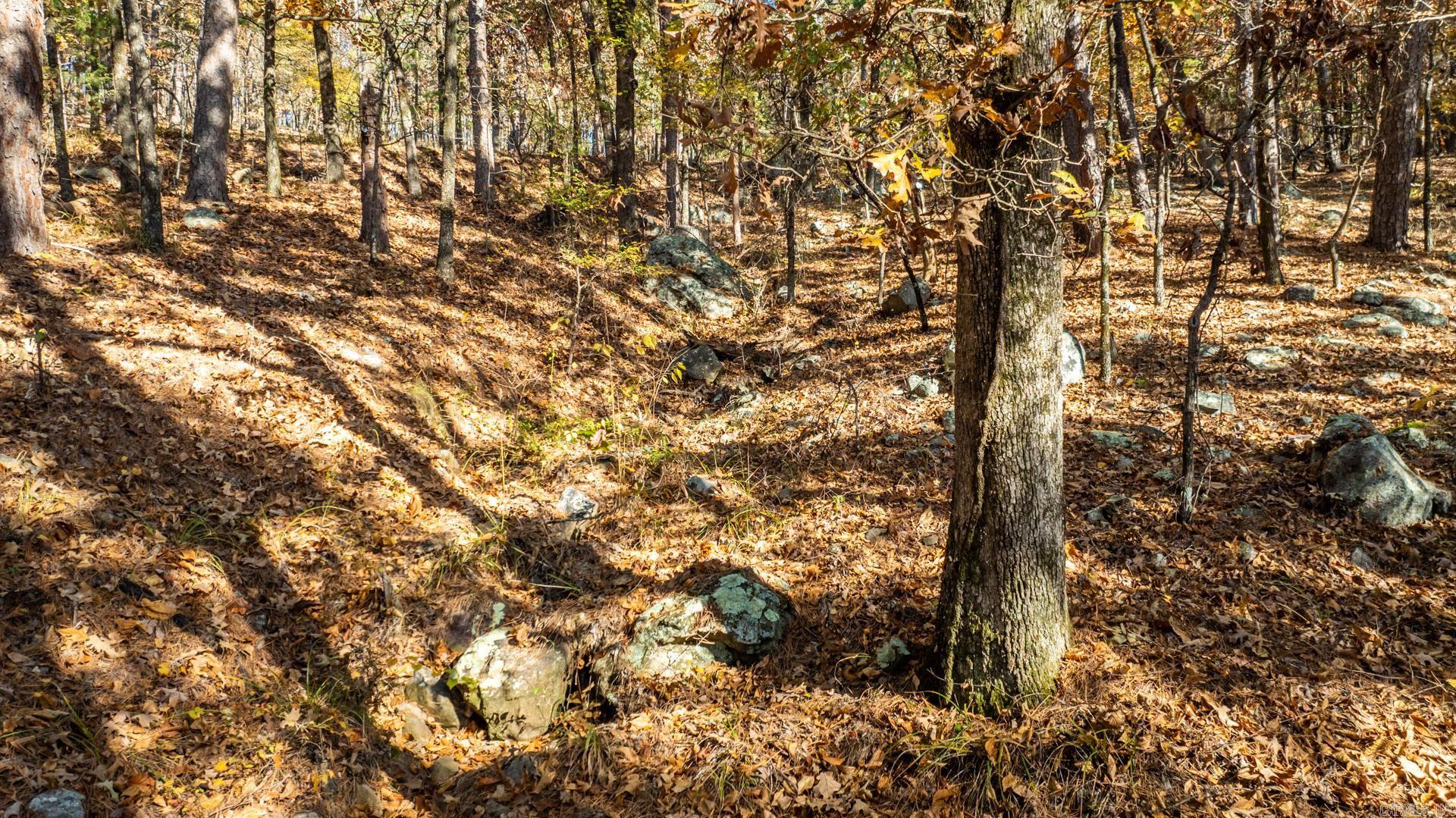 Pinnacle Ridge - Land