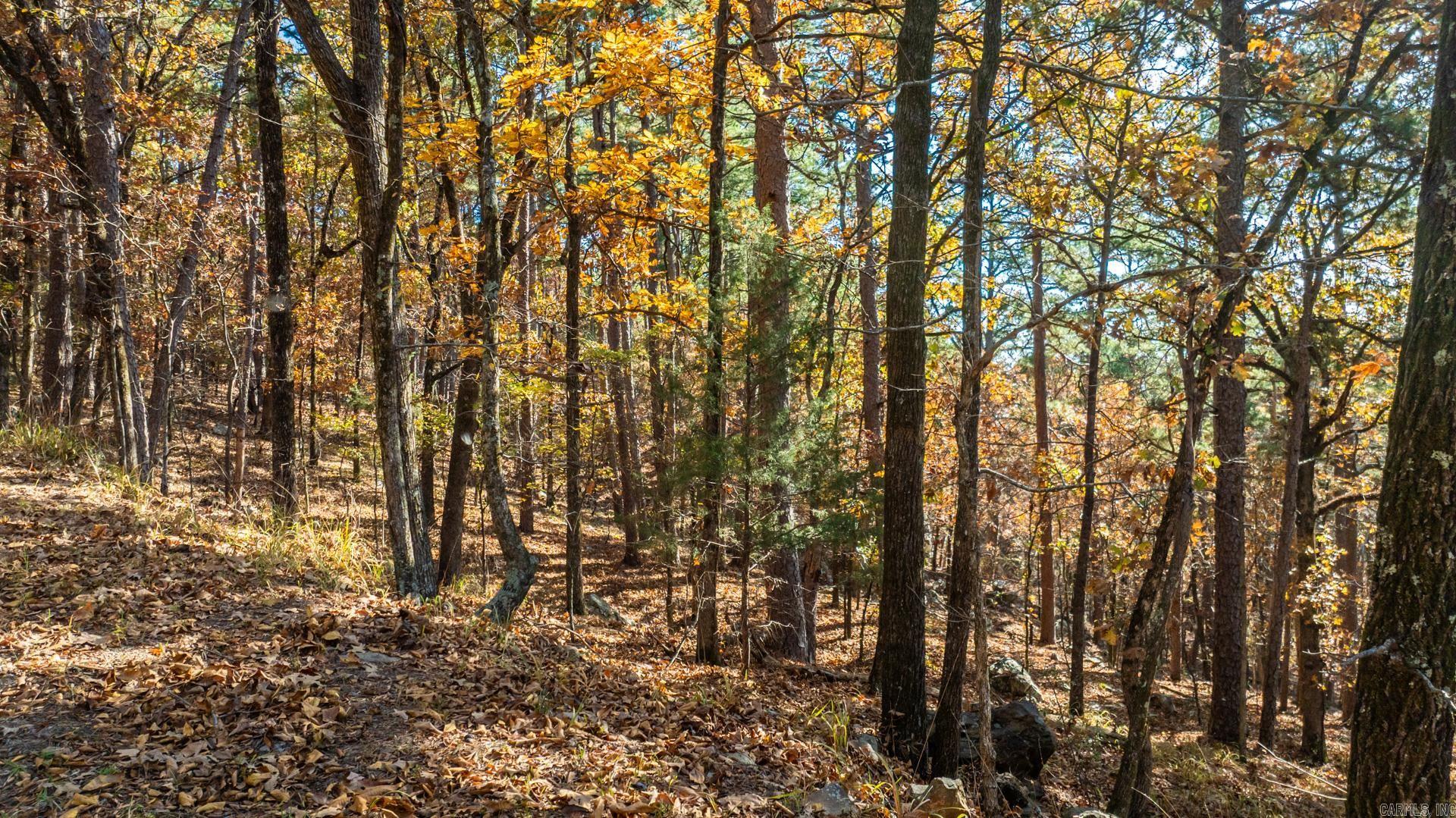 Pinnacle Ridge - Land