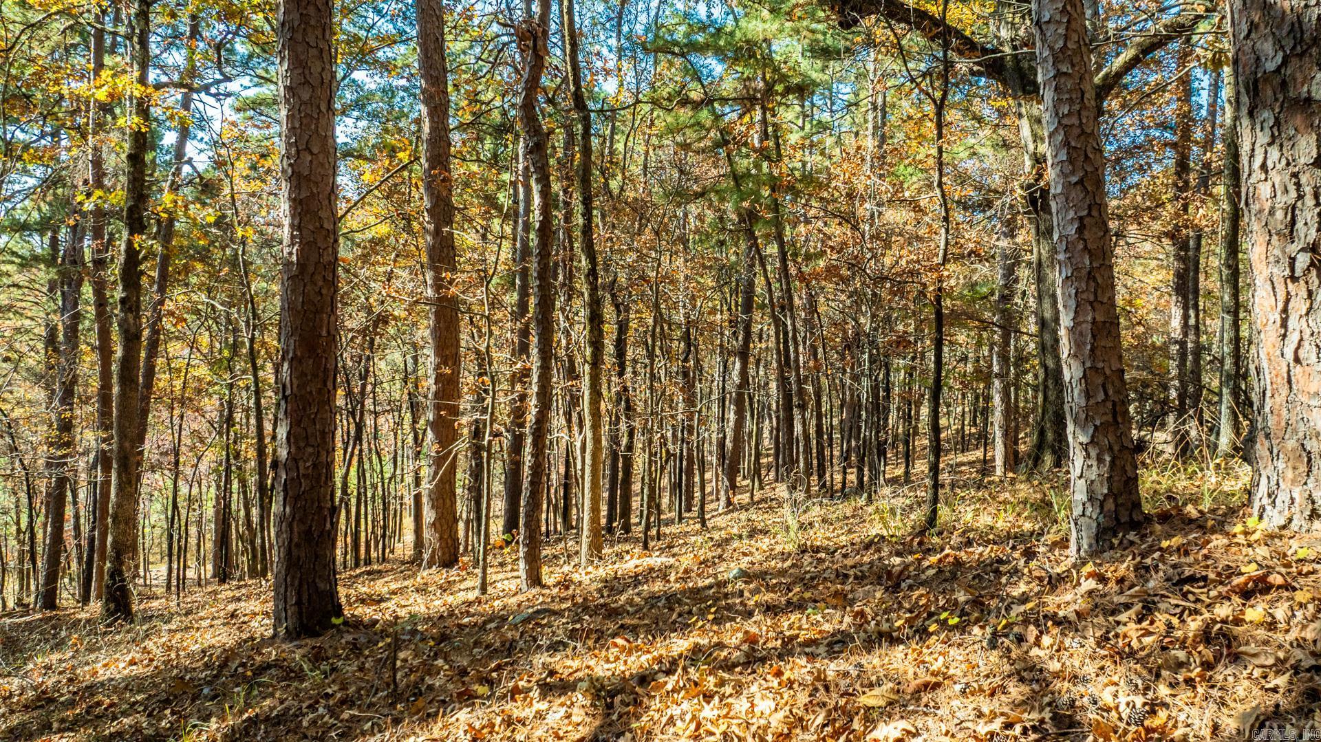 Pinnacle Ridge - Land