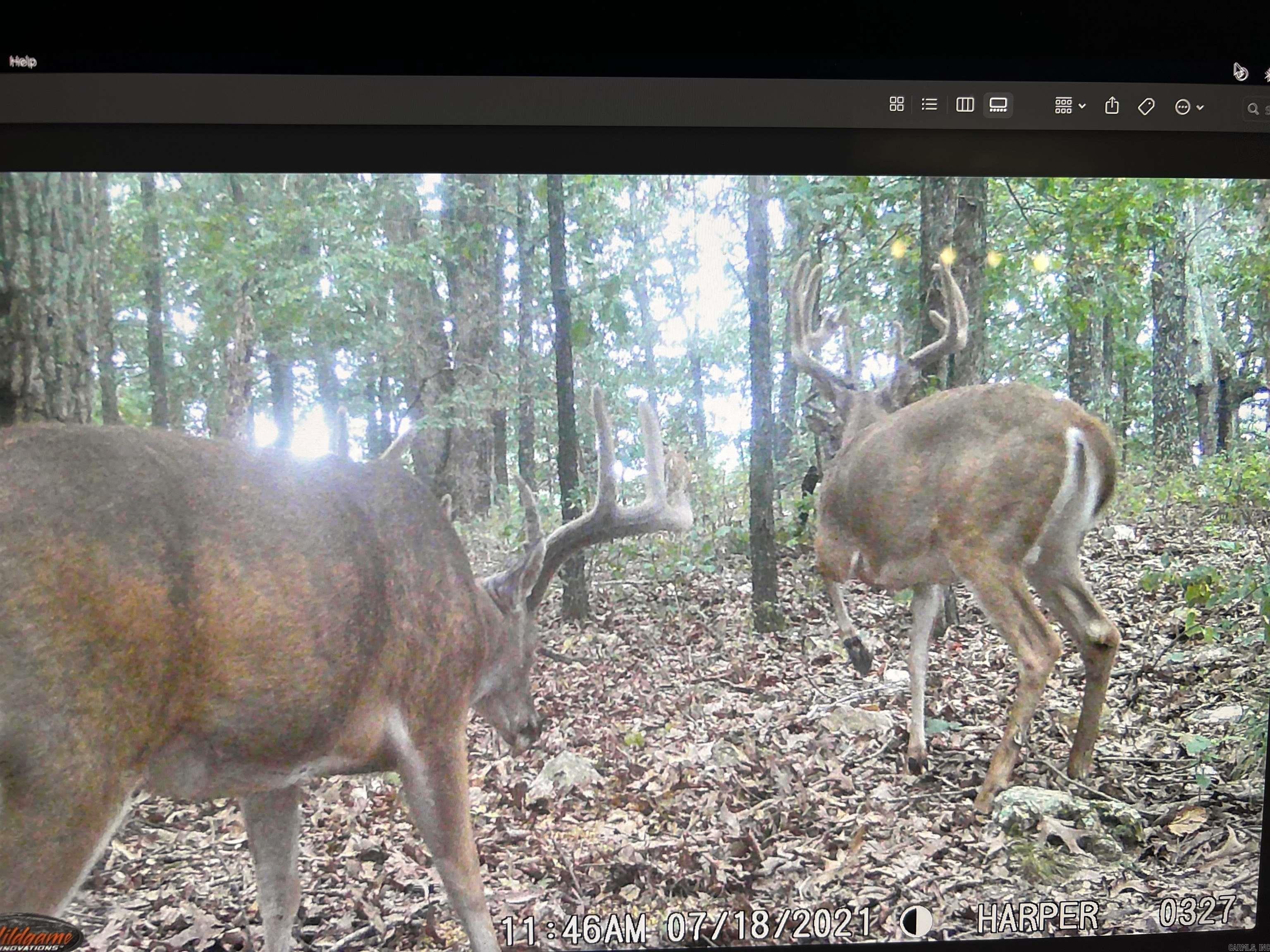 Not in Subdivision - Land