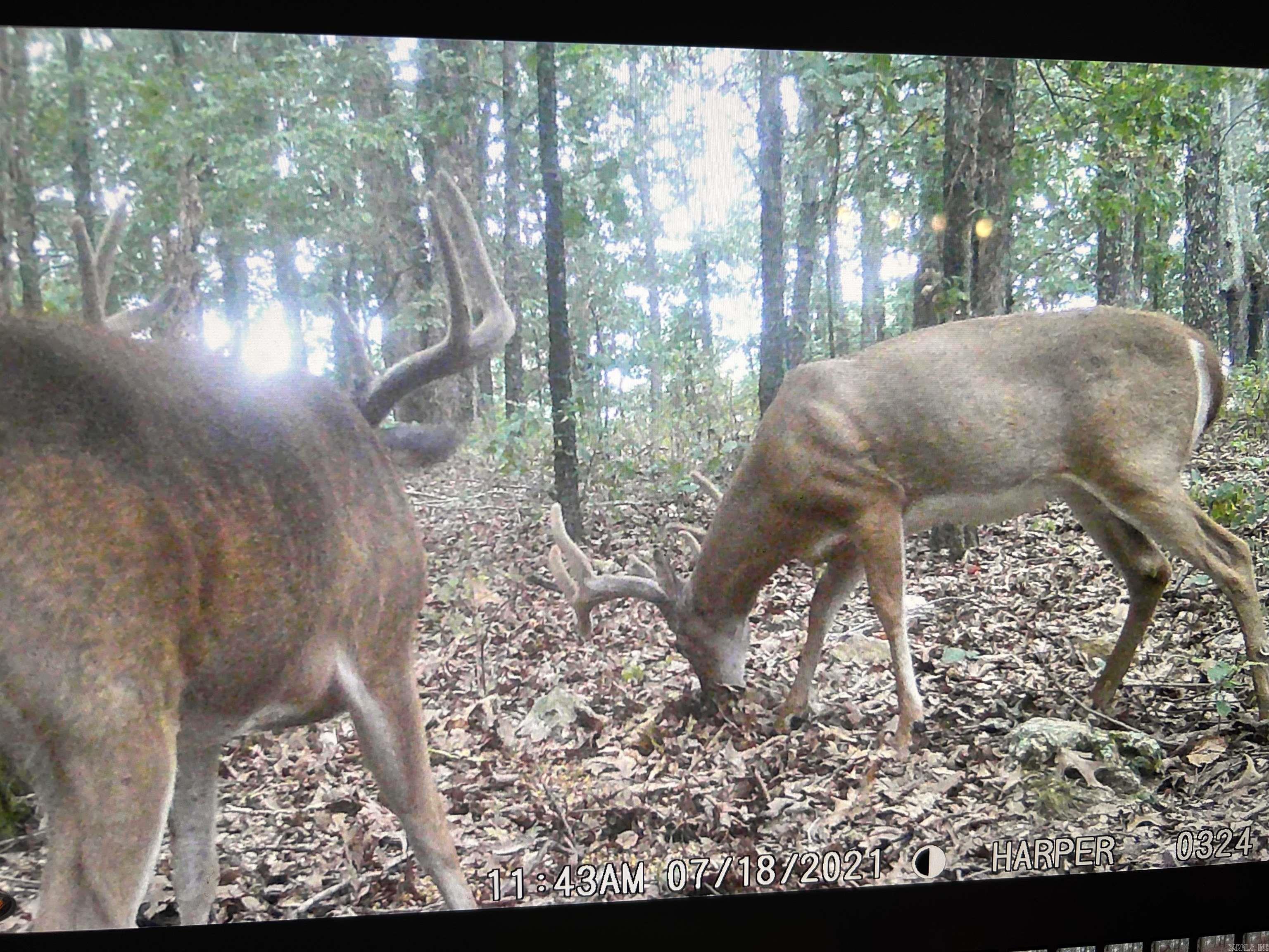 Not in Subdivision - Land