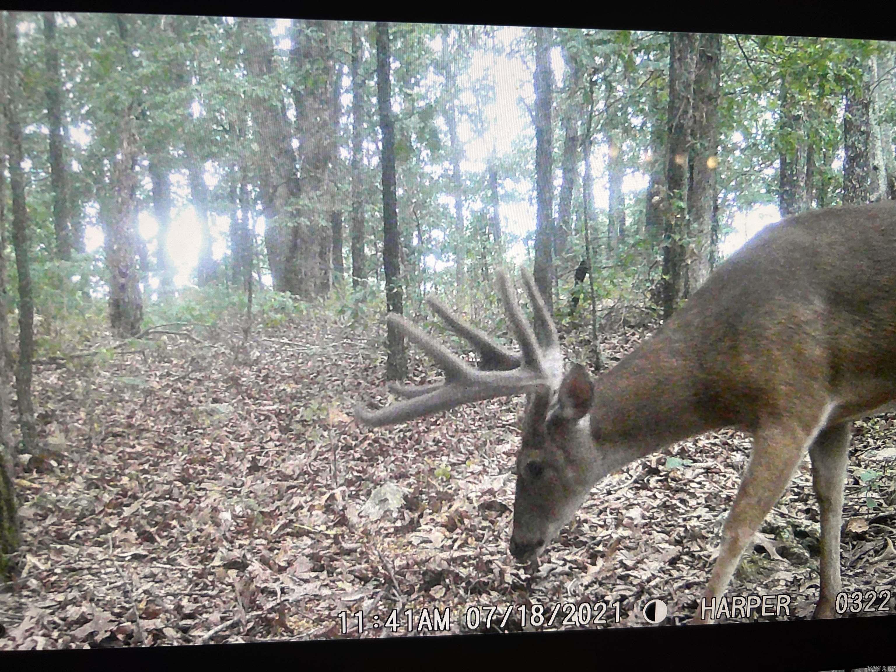 Not in Subdivision - Land