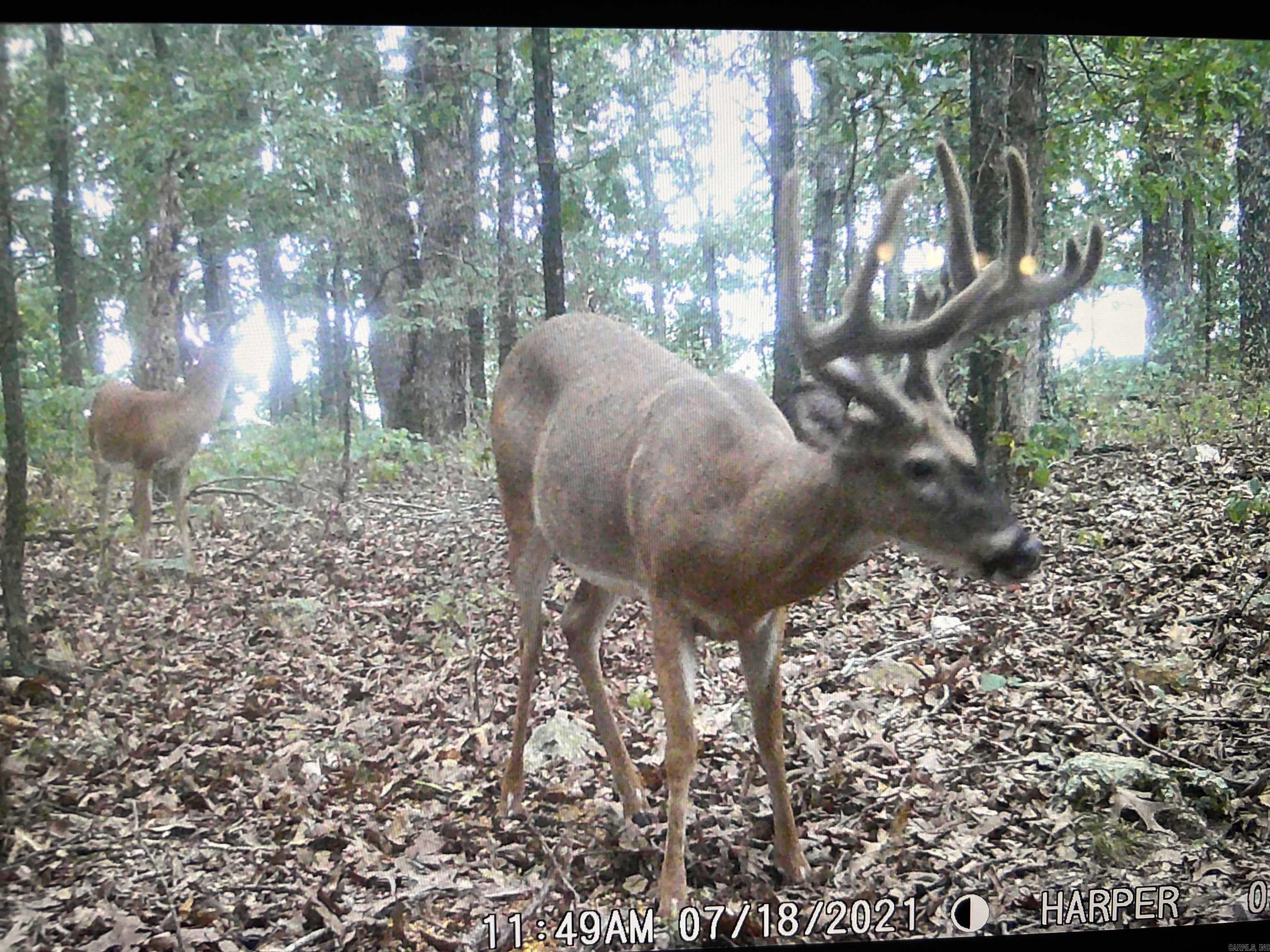 Not in Subdivision - Land