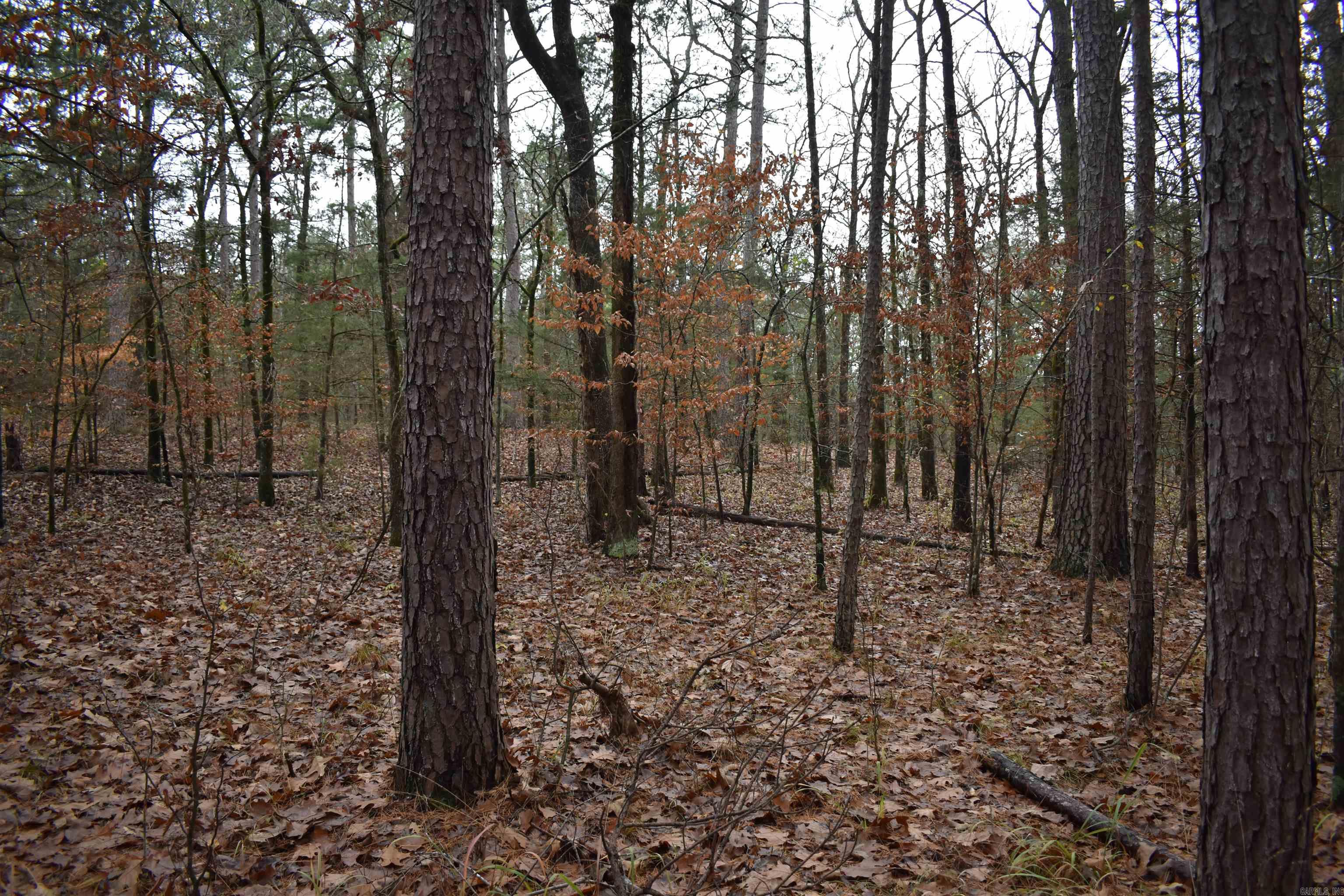 Metes & Bounds - Land