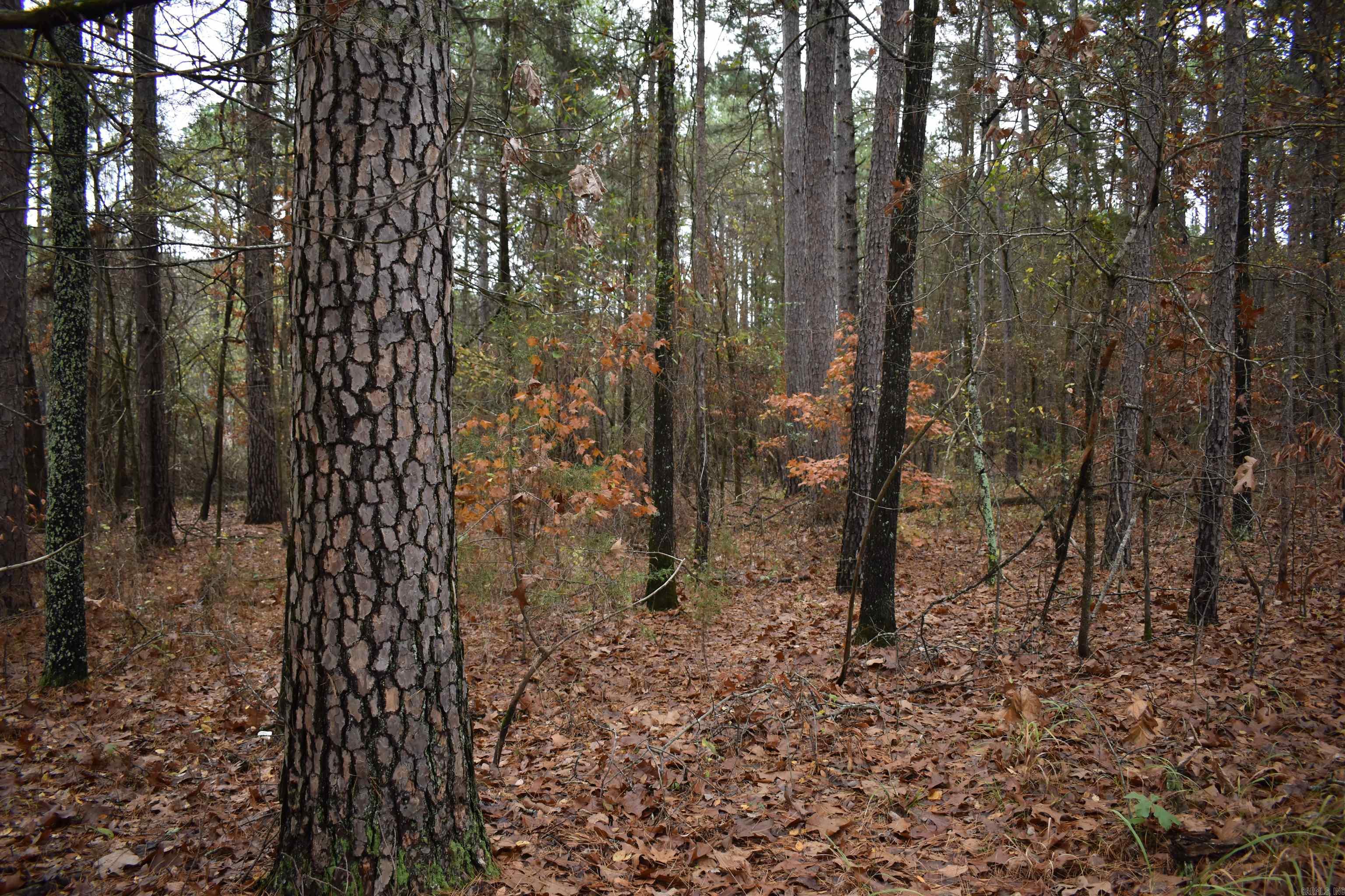 Metes & Bounds - Land