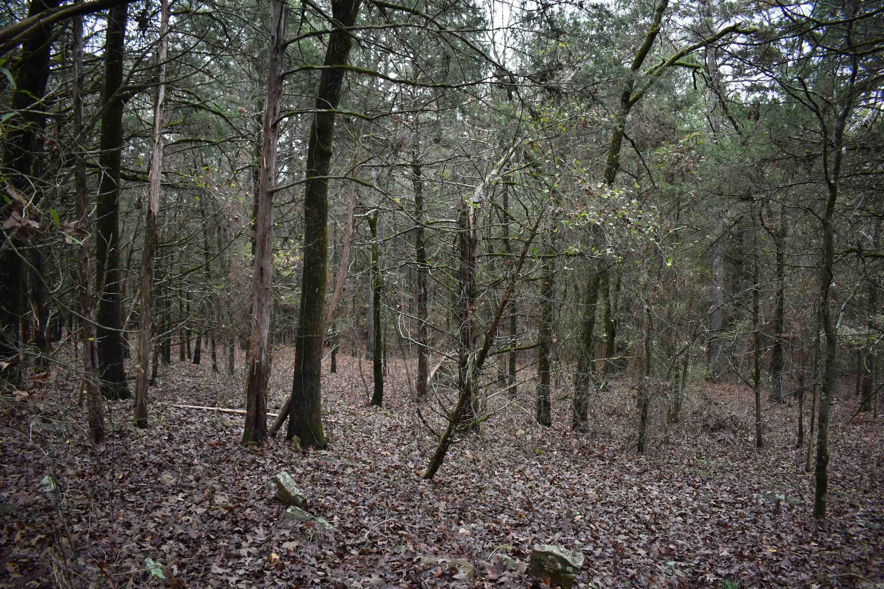 Metes & Bounds - Land