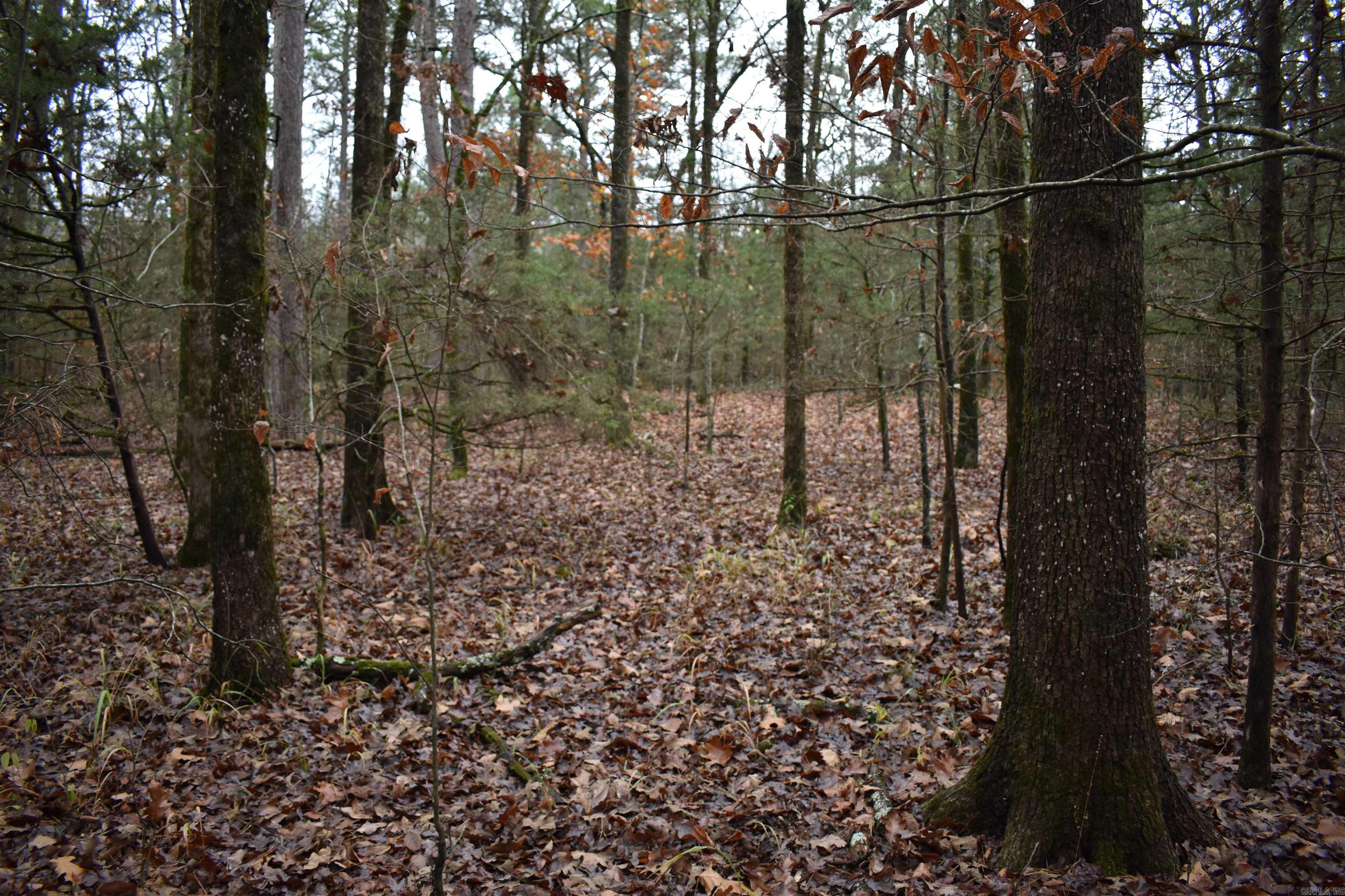 Metes & Bounds - Land