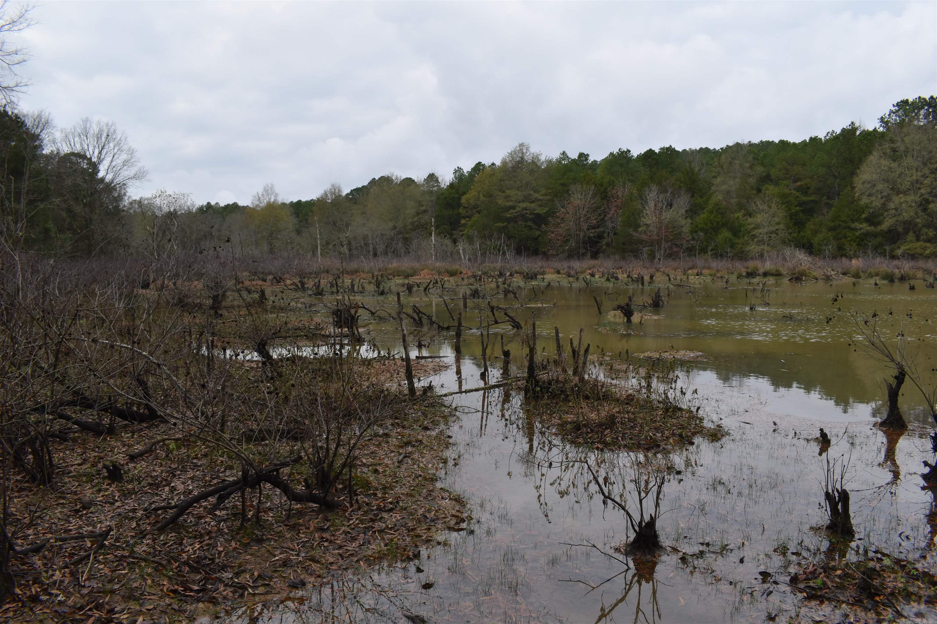 Metes & Bounds - Land