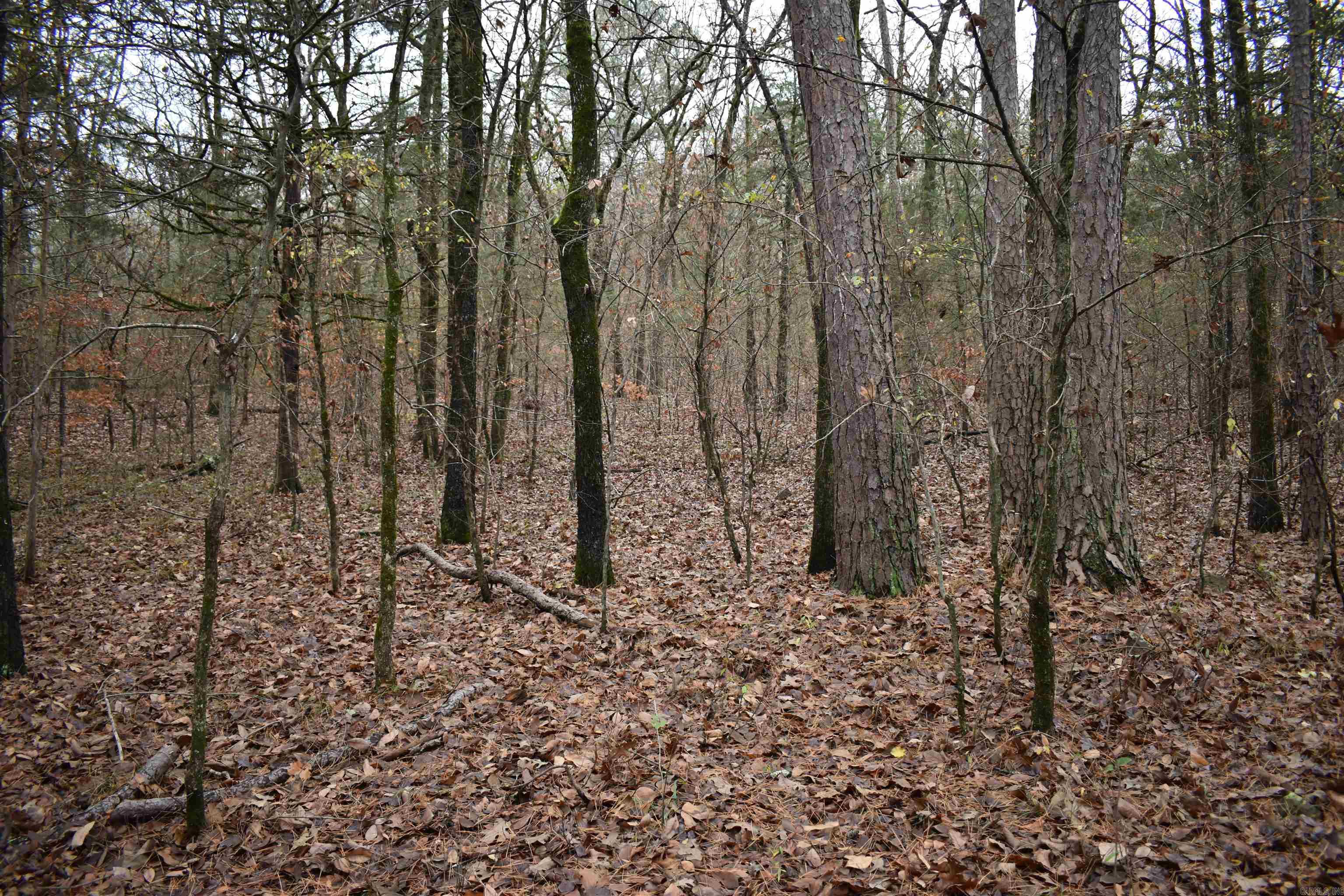 Metes & Bounds - Land