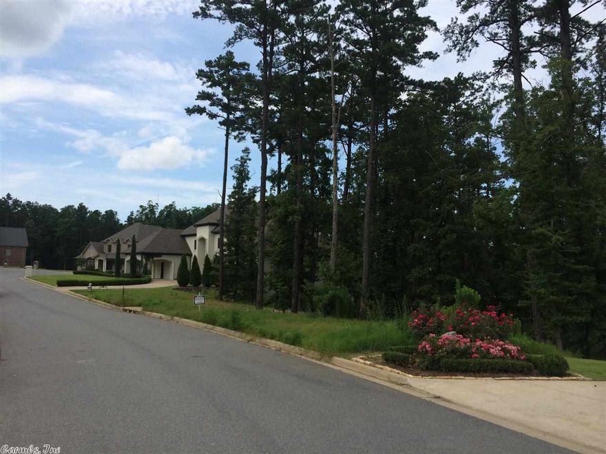 Beautiful lot on cup-de-sac backs up to greenbelt.  Level front half and slopes down to green belt to give excellent vista view to the east.  Ideal for afternoon entertaining on the terrace away from the sun setting in the west.  Plenty of hardwoods on site.