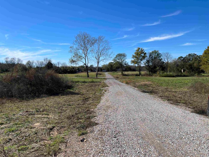 Wonderful new subdivision in Bigelow, AR.  Large lots waiting for your new home. The plat and Bill of Assurance is attached.  The final CHIP SEAL road service will be installed once the current surface is settled.