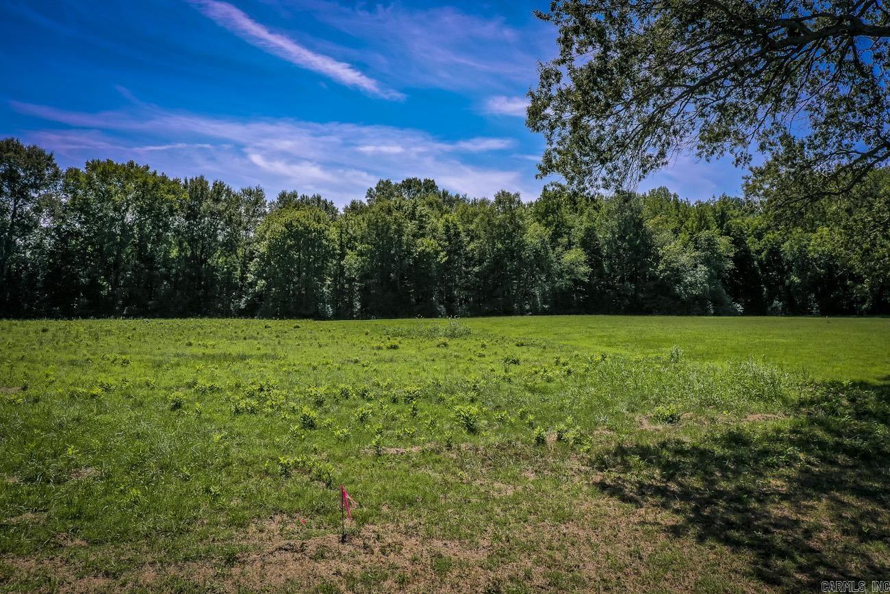 Prime development opportunity! This 3.22-acre property, zoned R-1, is perfect for a new subdivision. With a 50-ft easement for access and backing up to Matthews Park, it offers a fantastic location for future homes. Don't miss outācall today for more details!