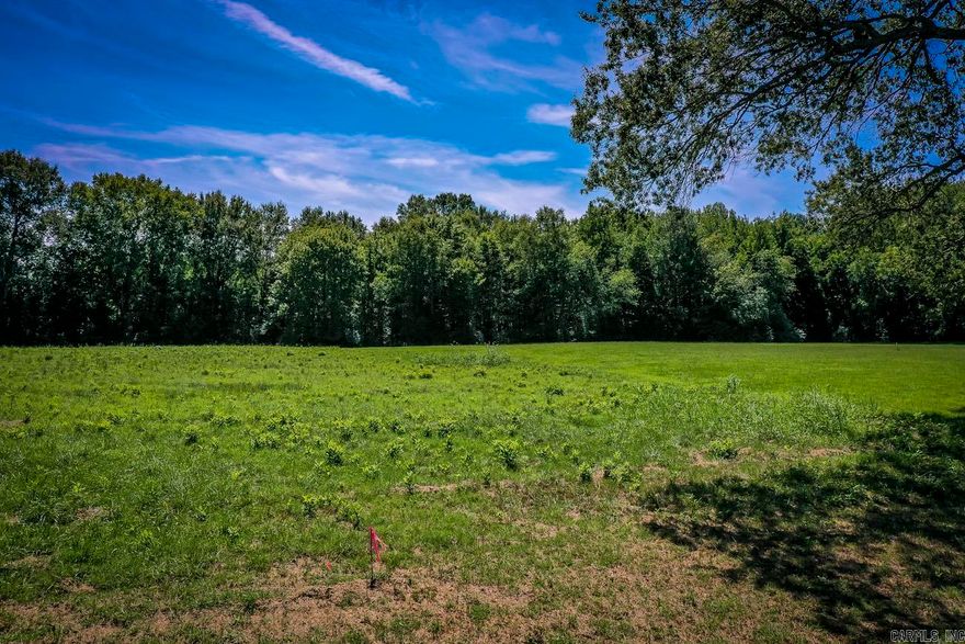 Prime development opportunity! This 3.22-acre property, zoned R-1, is perfect for a new subdivision. With a 50-ft easement for access and backing up to Matthews Park, it offers a fantastic location for future homes. Don't miss out—call today for more details!