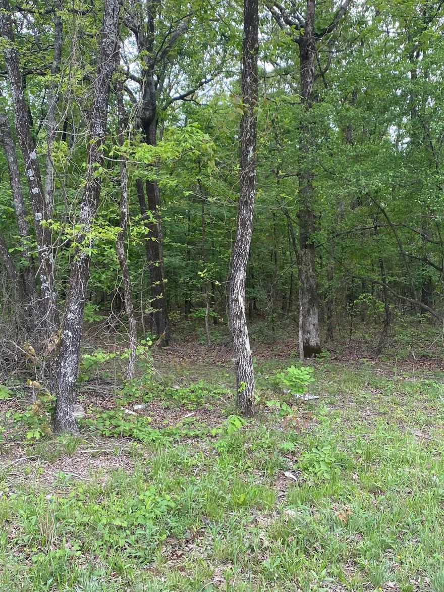 5 acre tract on a good road, good potential for a future homesite.