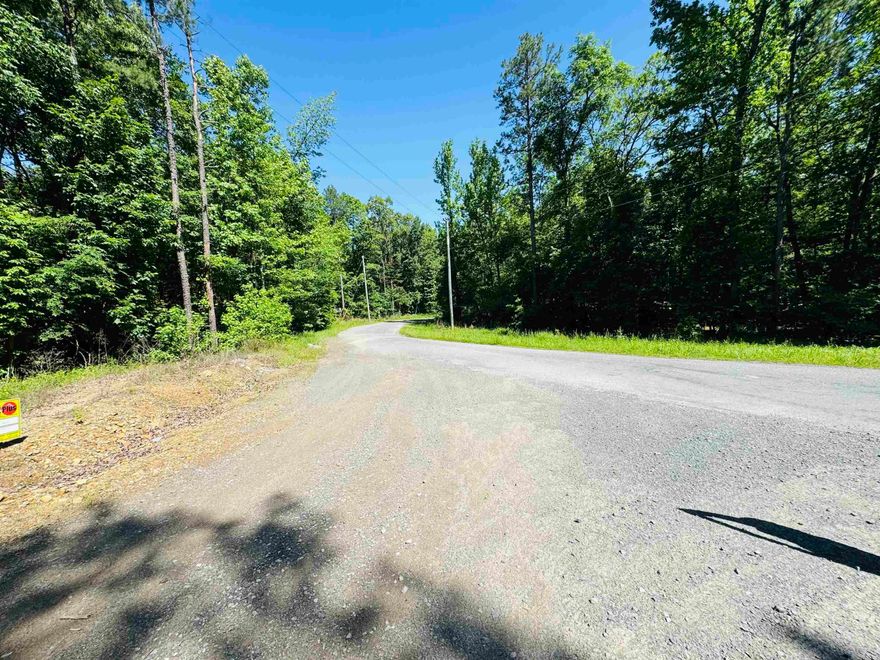Blank canvas awaiting your cabin off the Lake dreams.  Cove Creek is home to the Army Core of Engineers camp ground and a community of avid fisherman and boat enthusiast's.  Come join the fun!!