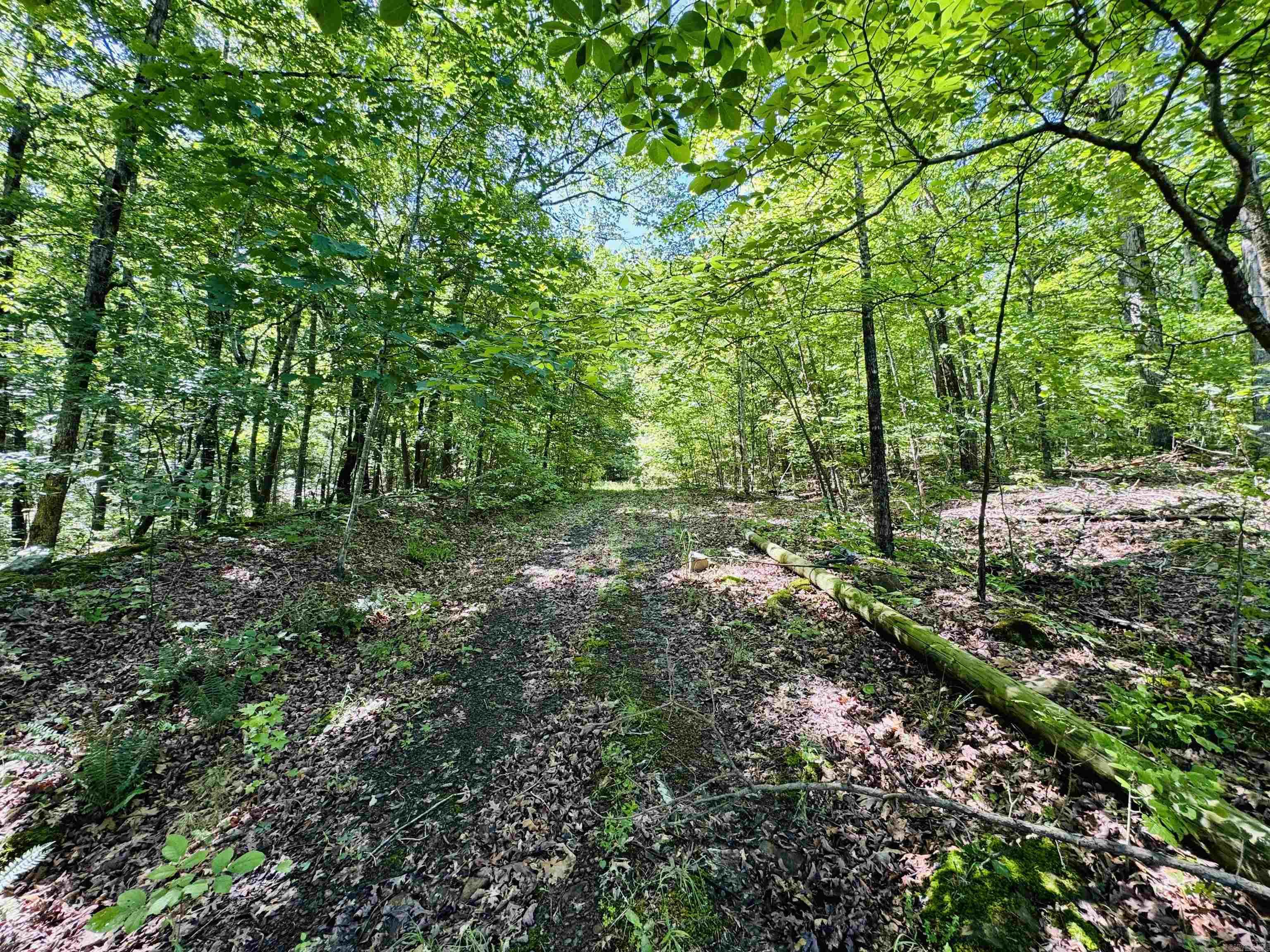 Ridgeview Place Cove Creek - Land