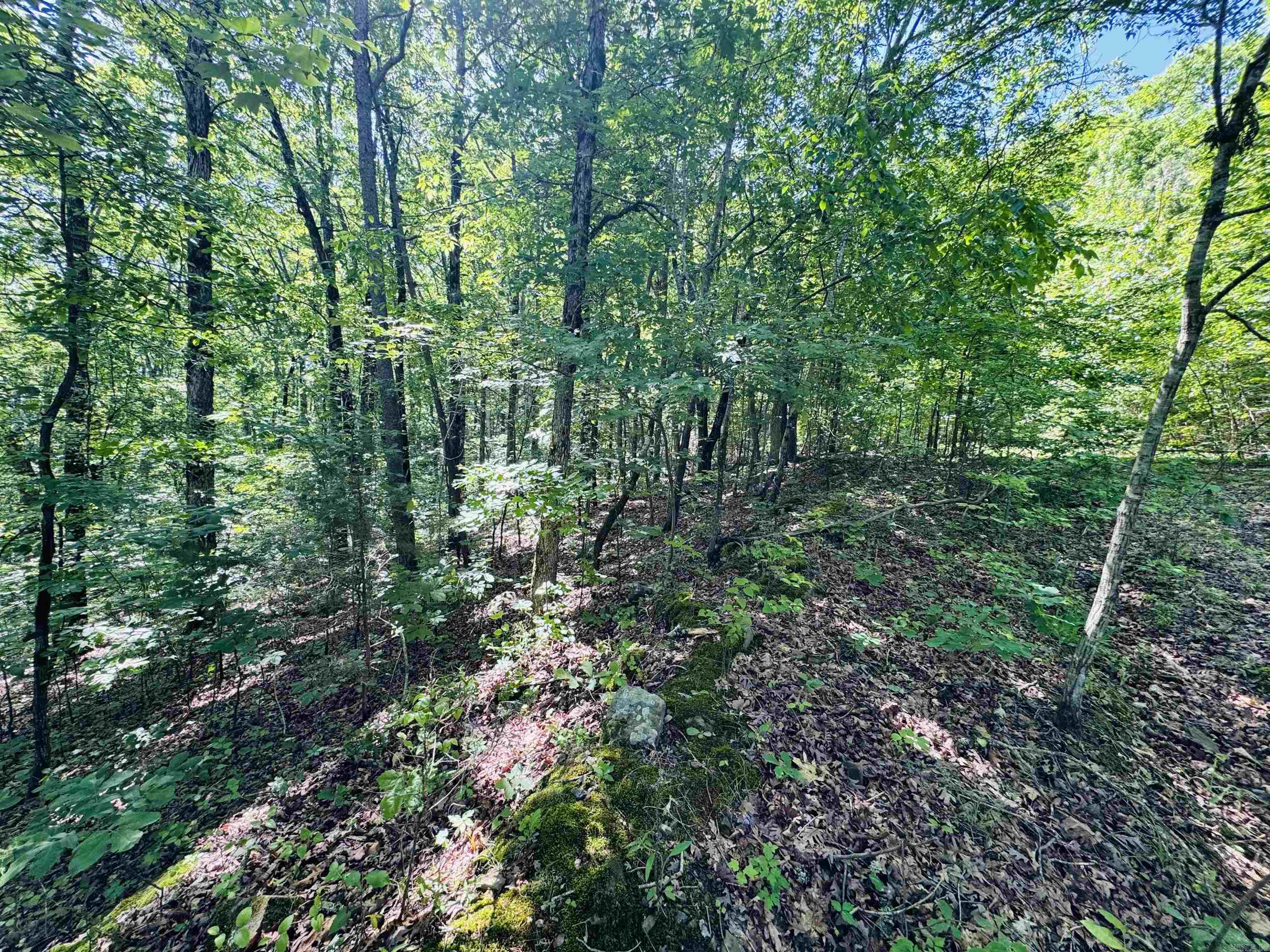 Ridgeview Place Cove Creek - Land