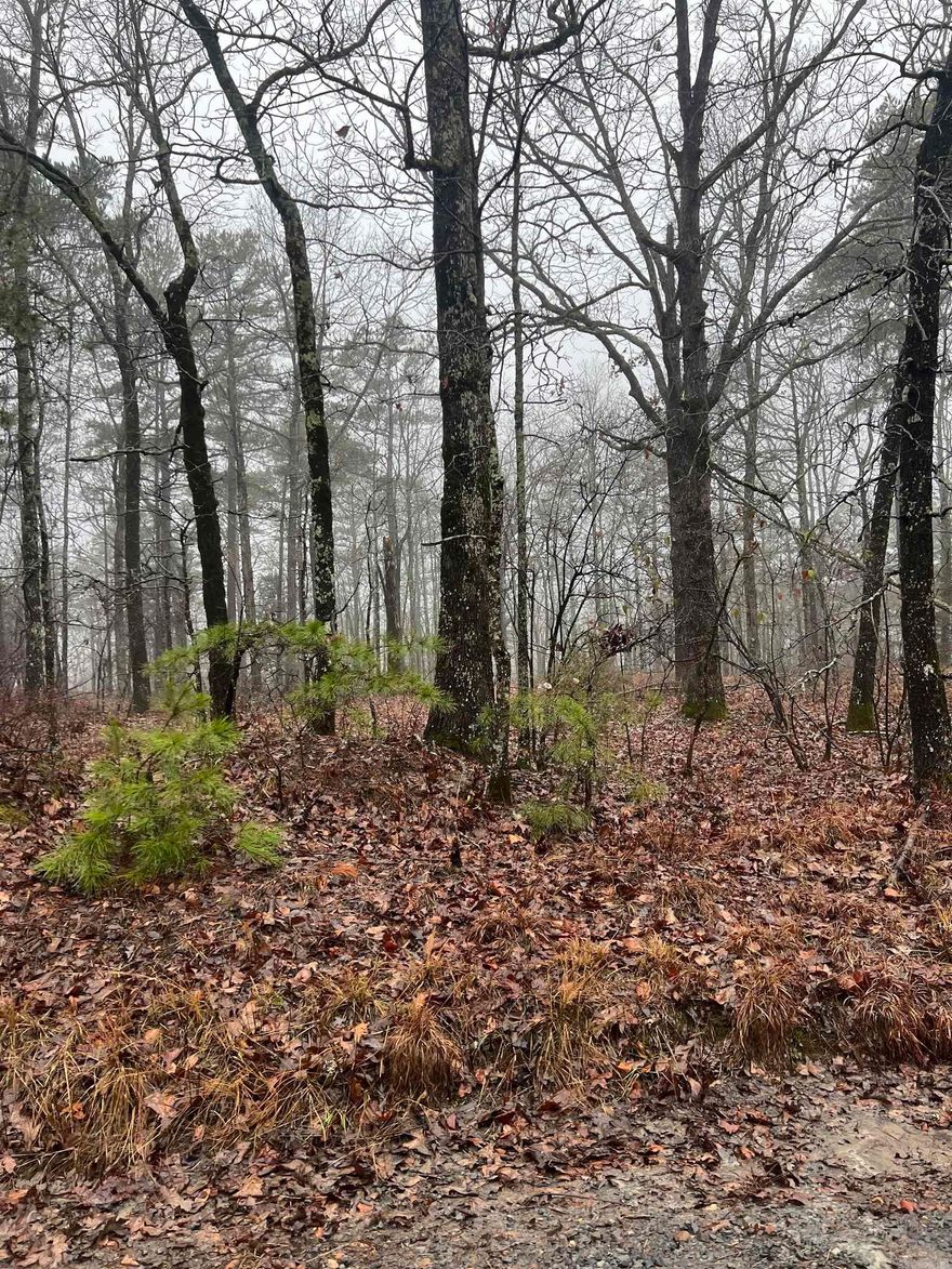 APPROX 3.25 ACRES OF LAND WITH GREAT BUILDING SPOTS AND AN UNFINISHED TINY HOME. NO UTILITES ON PROPERTY. WATER WILL HAVE TO BE A WELL OR COME FROM LUTE MOUNTAIN. CAMPER ON PROPERTY DOES NOT CONVEY. ITEMS AROUND THE TINY HOME AND CAMPER WILL BE CLEANED UP.