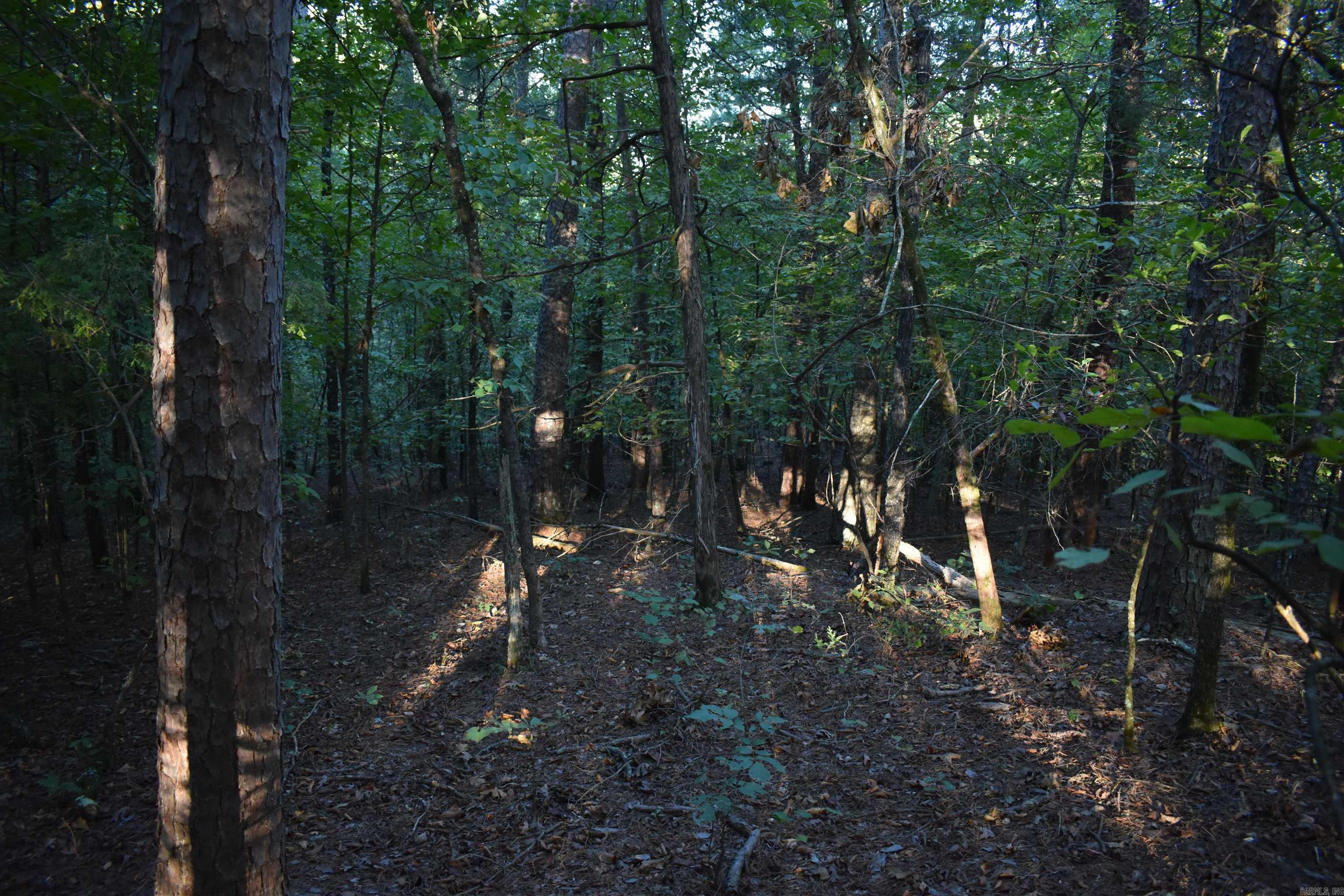 Metes & Bounds - Land