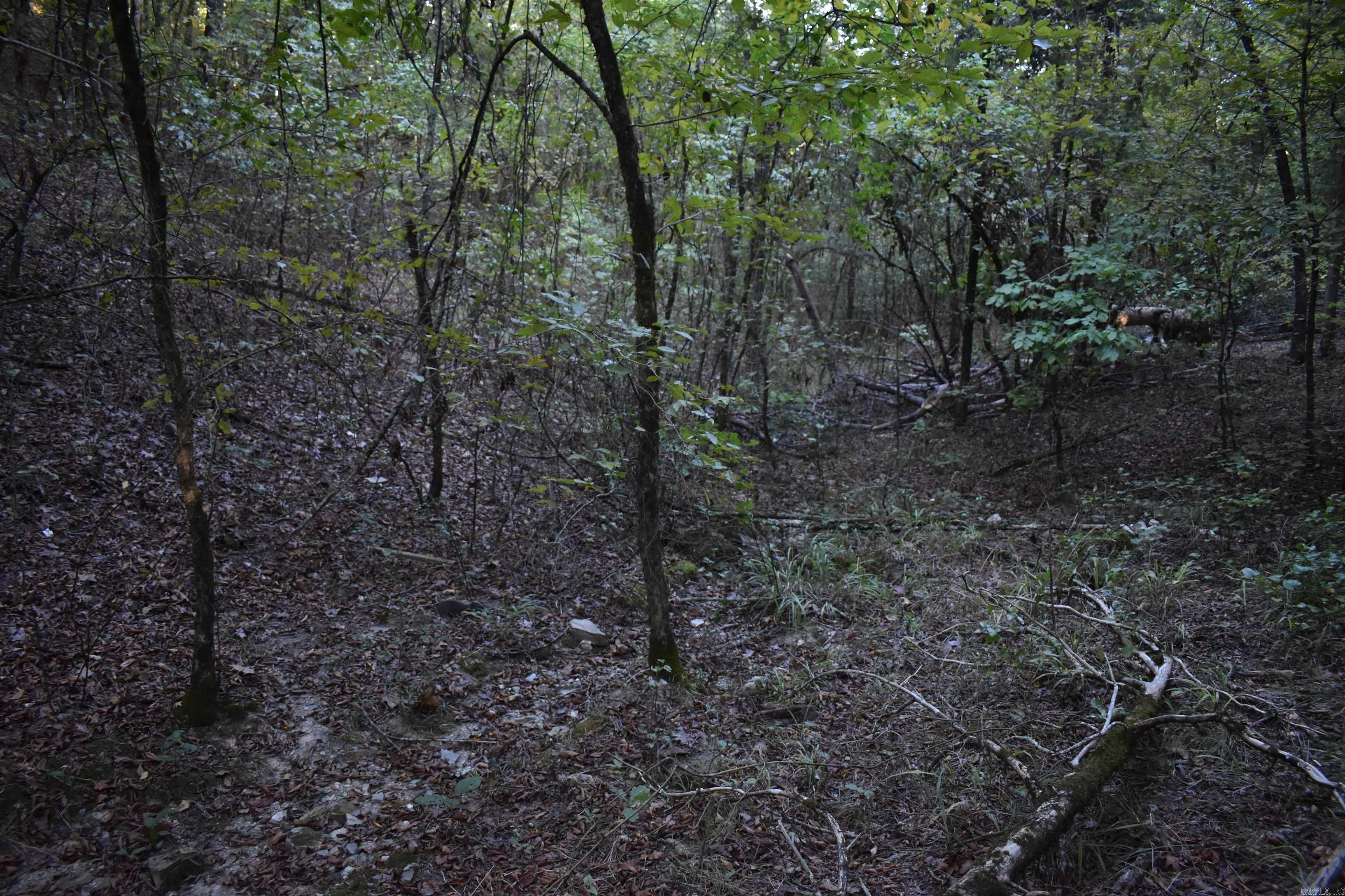 Metes & Bounds - Land