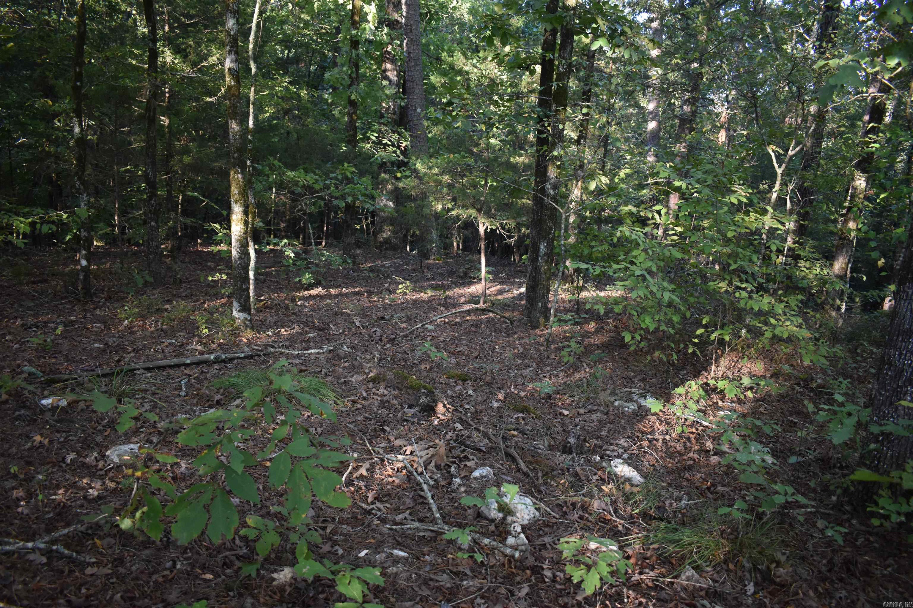 Metes & Bounds - Land