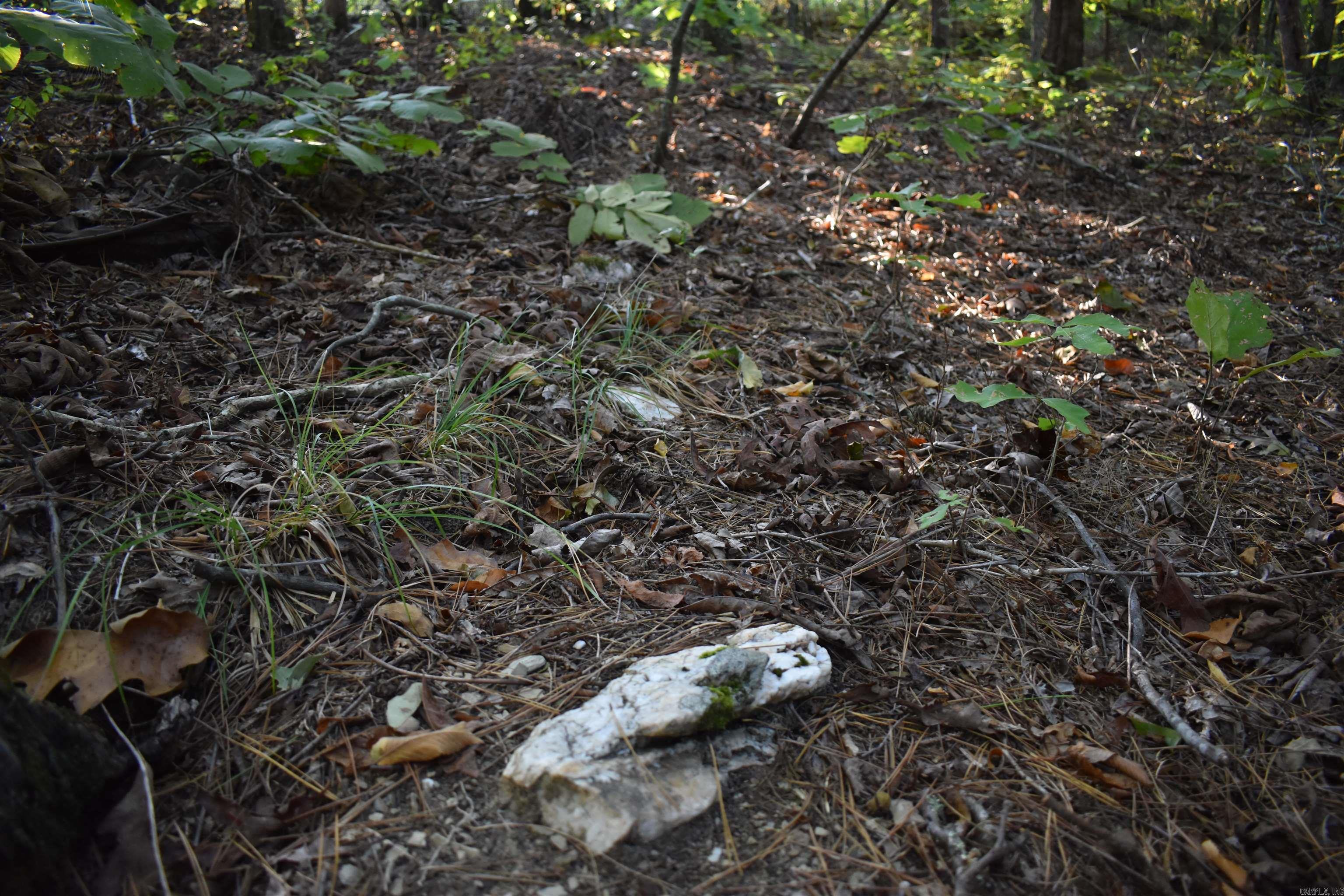 Metes & Bounds - Land