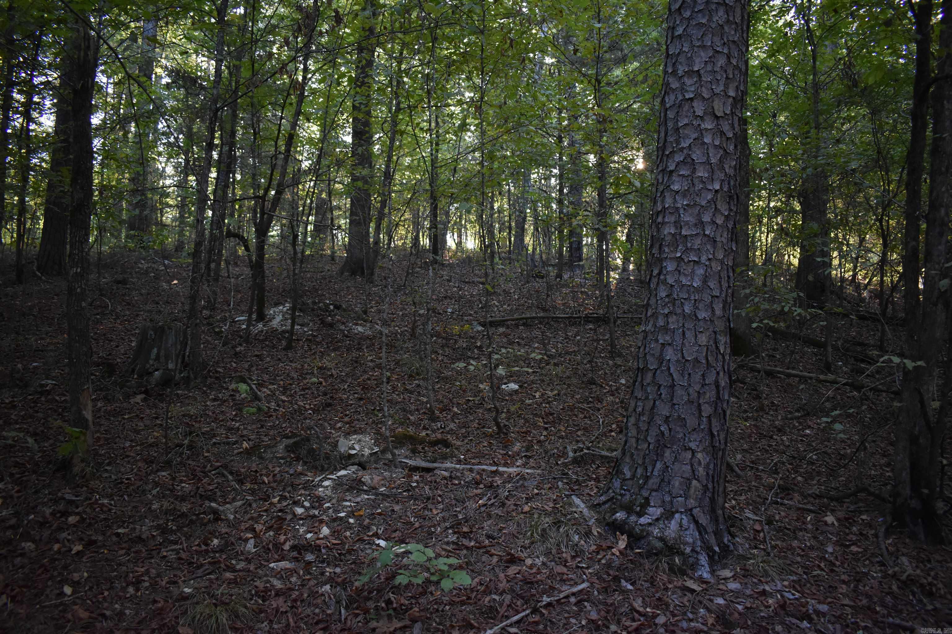 Metes & Bounds - Land