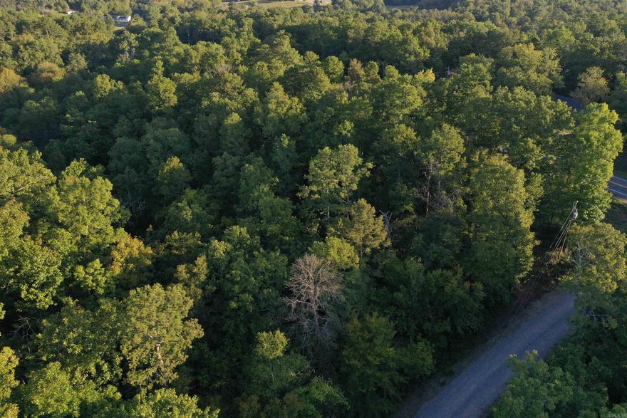 Just outside of Pencil Bluff in Montgomery County sits this 4 +/- acre lot ready for its new owner! The acreage is completely covered in a mixture of mature pine and hardwood timber, and has a seasonal creek running along is southern boundary. The northern boundary of the property is Highway 270, and its eastern boundary is Riverview Lane. Power and city water are available at the highway, making this a great place to build or for a weekend getaway. Not only will you be able to enjoy your own slice of Montgomery County, but also the great public lands that are offered as well. There are multiple accesses to the Ouachita River just minutes away, as well as thousands of acres of the Ouachita National Forest, great for hunting, hiking, camping, and enjoying all that he Ouachita mountains have to offer. This is located just minutes outside of Pencil Bluff, ten minutes from Mount Ida, and just under an hour from Hot Springs. If you are looking for a piece of property to enjoy with family and call your own, don’t let this great tract slip away!