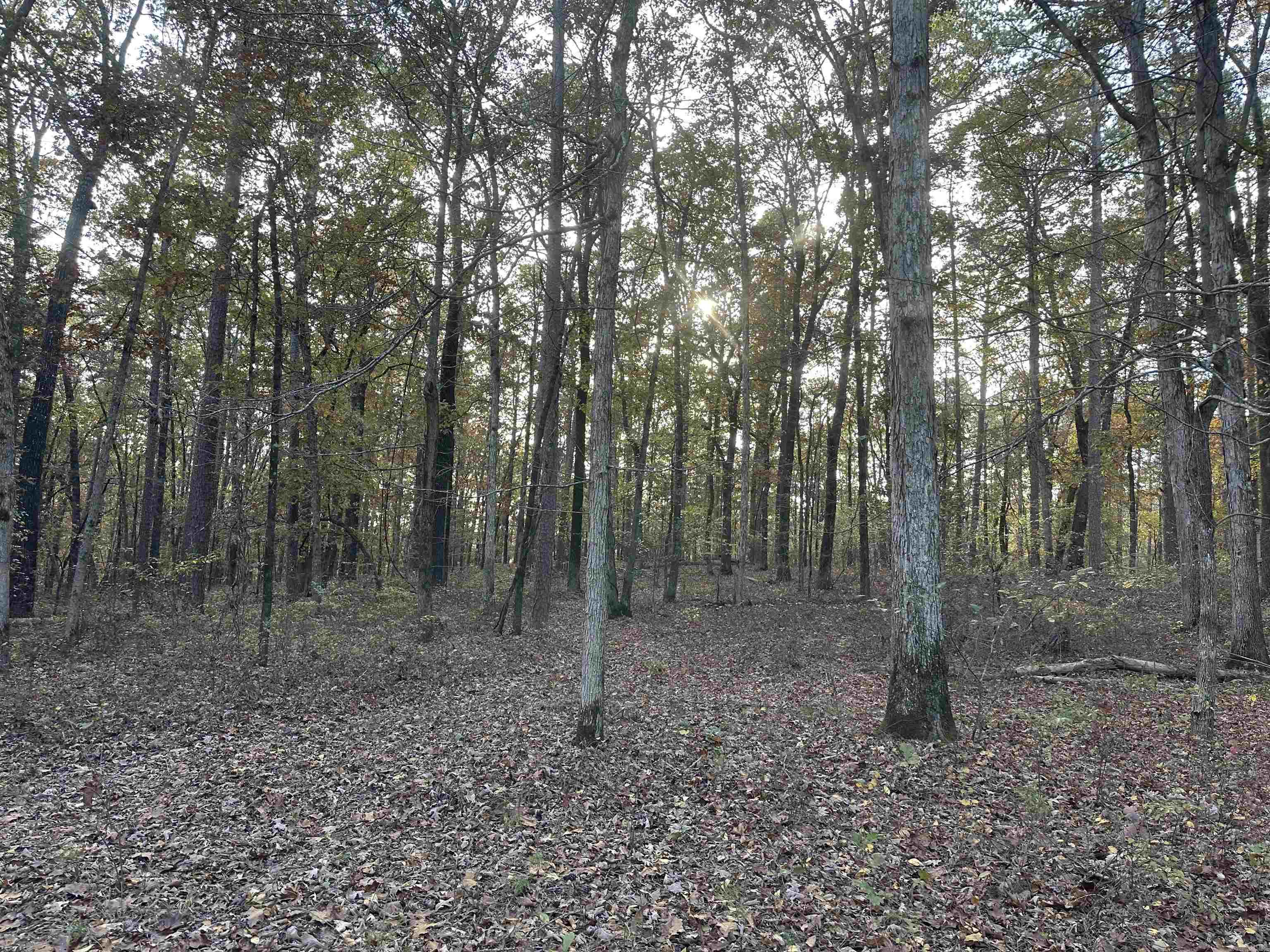 Metes & Bounds - Land