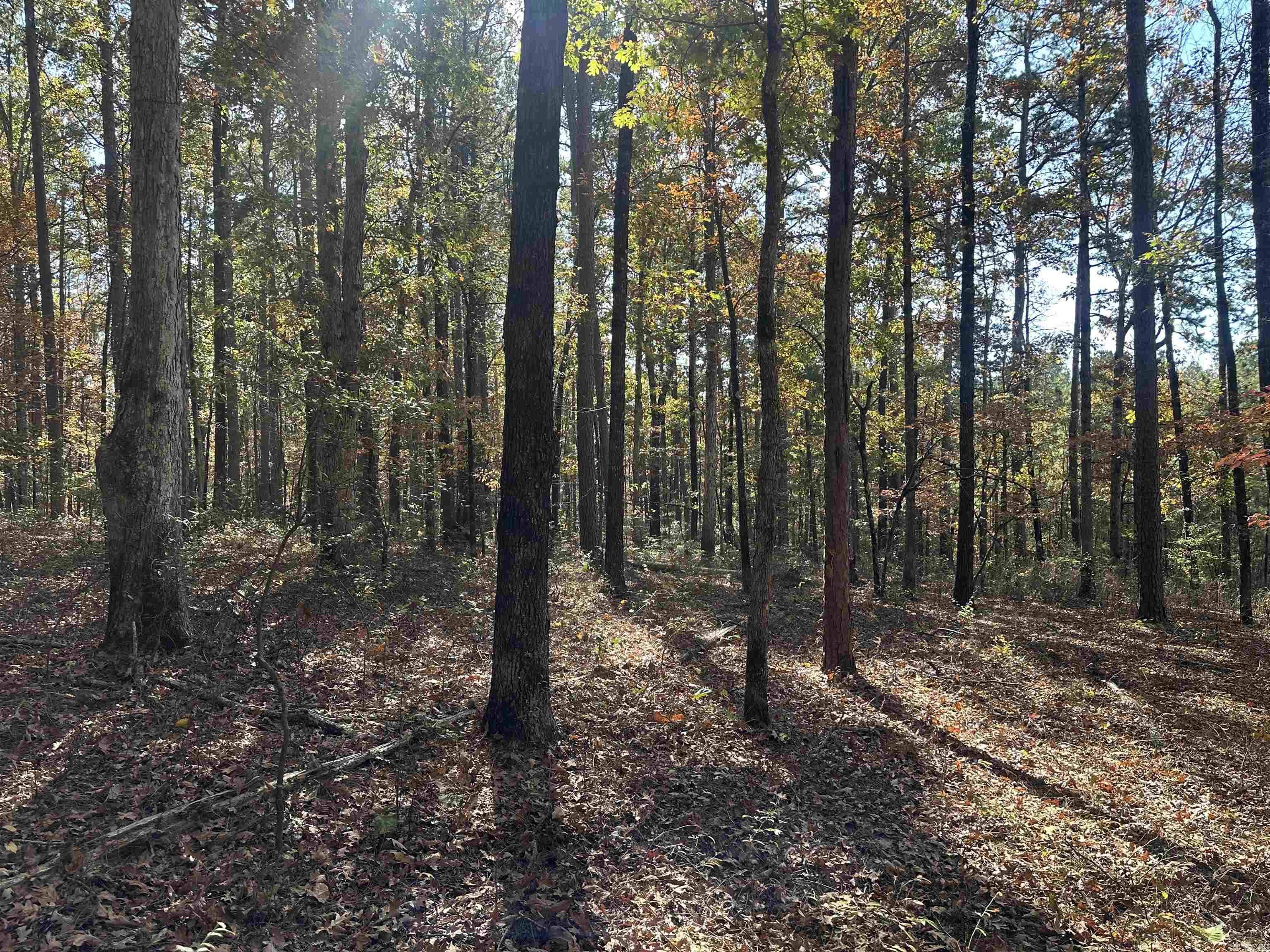 Metes & Bounds - Land